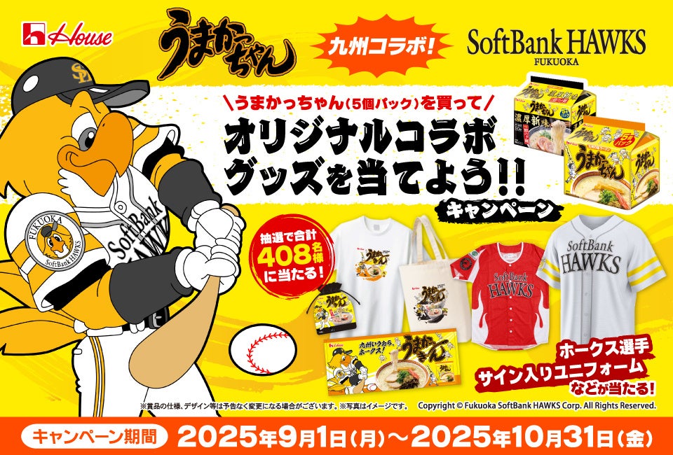 スカイライト コンサルティング、2024-25 大同生命SV.LEAGUE 初年度のアニュアルレポートを作成・公開