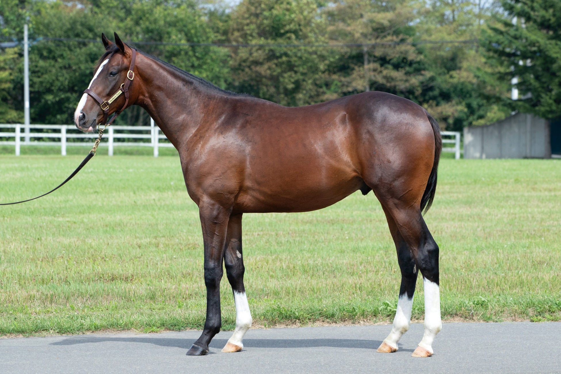 山形県内 2 店舗目!山形市内初出店!アミューズメントフィットネスクラブ FIT-EASY 山形北店のオープンが決定!