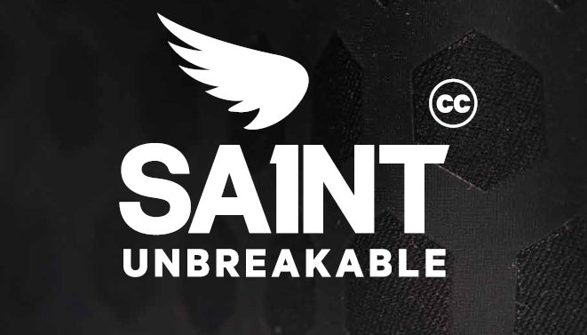 \500円で観戦できる!/三河地域こども開幕キャンペーン!