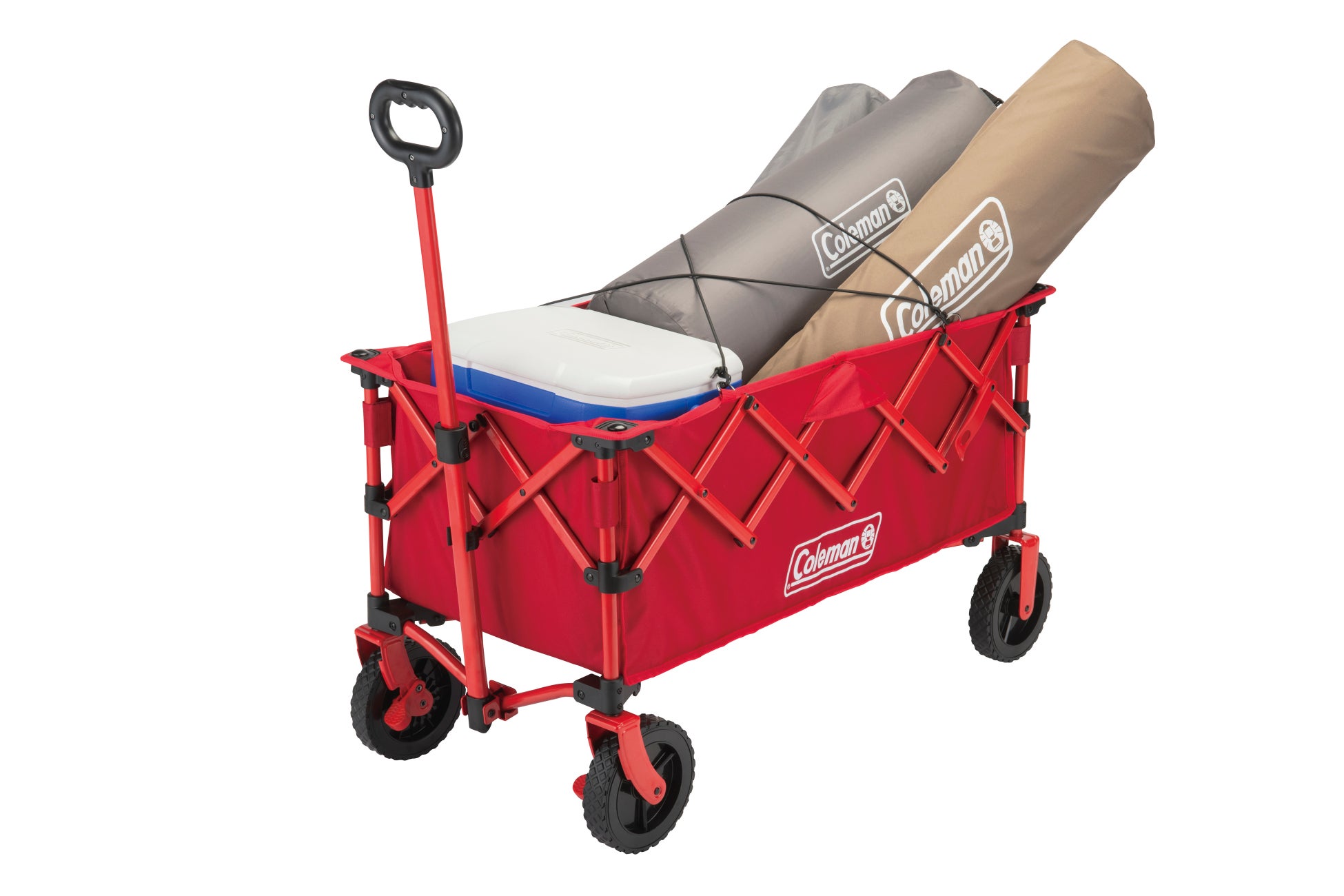 LOCOSOLAREなどが出場する「2025カーリング日本代表決定戦」で全試合一投速報を実施 一部試合では無料ライブ配信