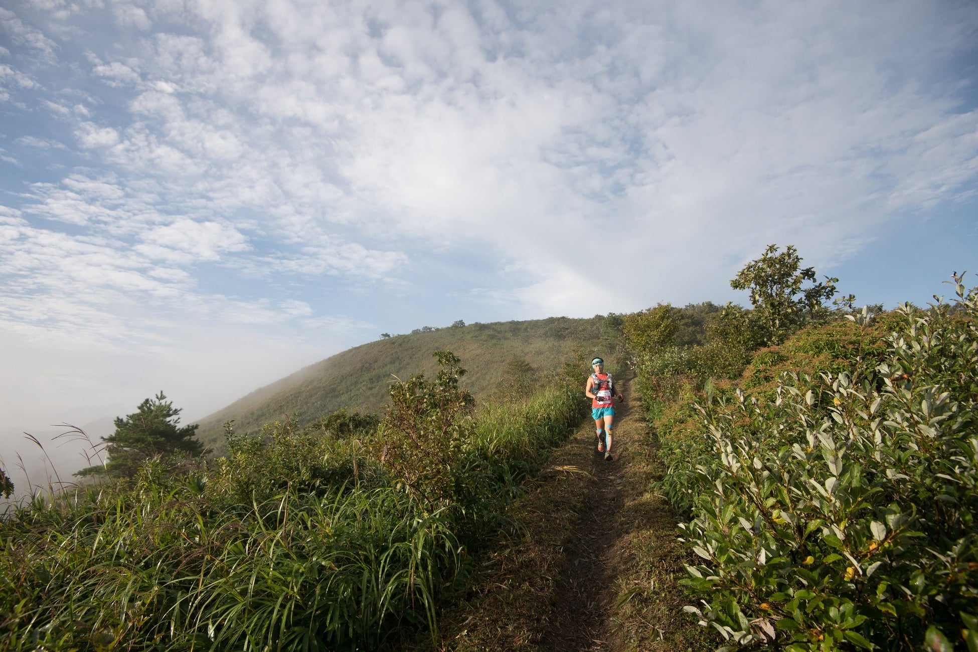 【DPC KOBE】ピックルボールをもっと自由に。『オープンプレー』 9月好評開催中