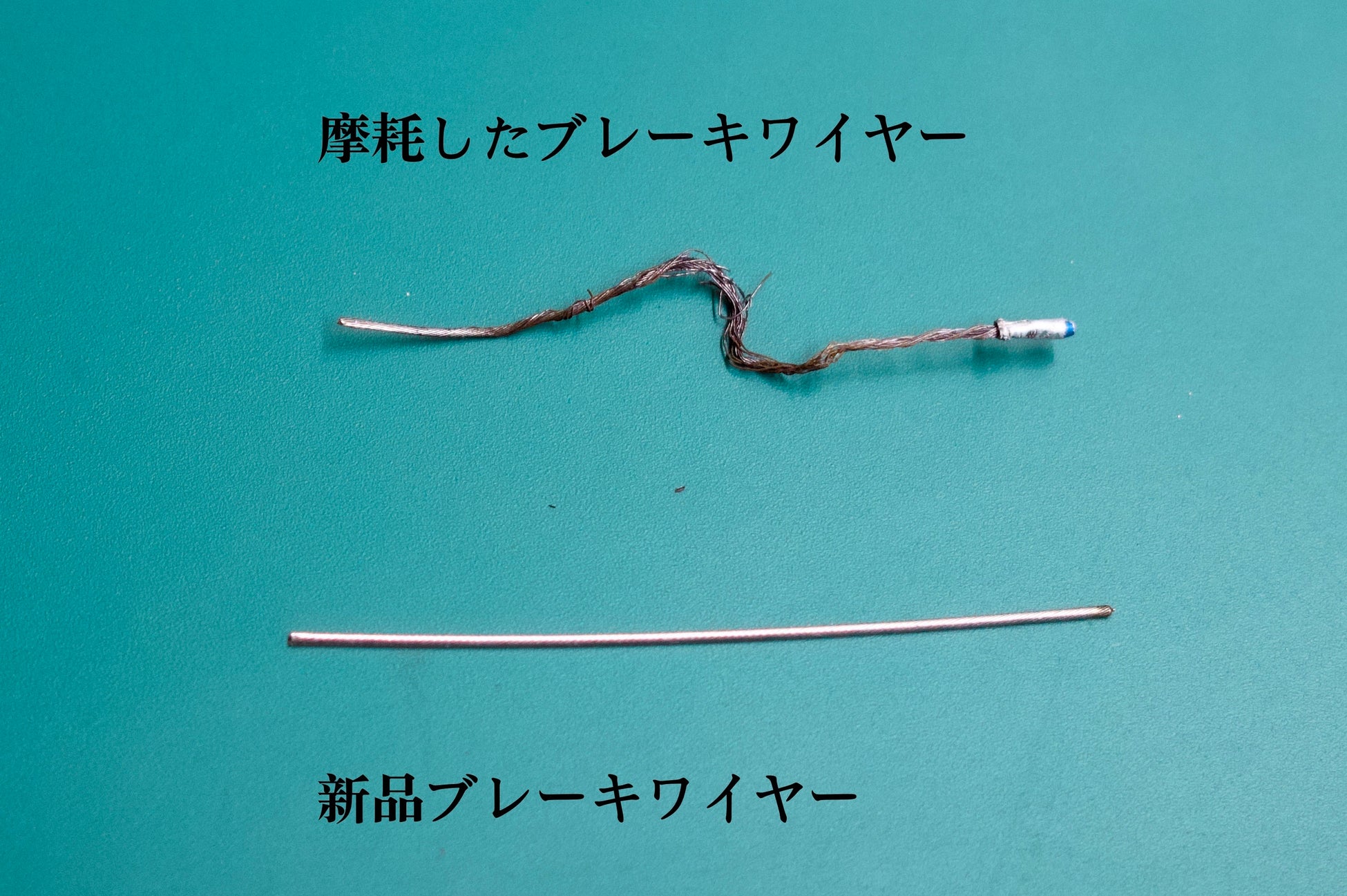 元卓球日本代表の石川佳純さんが三重県の子どもたちを熱血指導