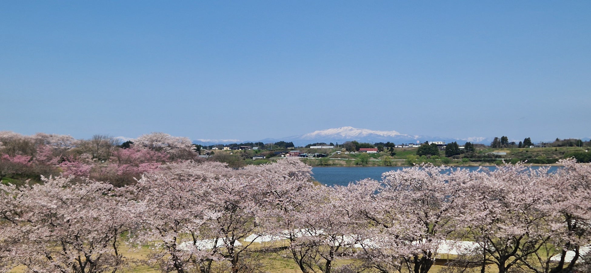 夢の企画がついに実現! 掛布雅之、矢野燿大、江川卓、元木大介ら、阪神・巨人のレジェンドが爆笑トークバトルを開催