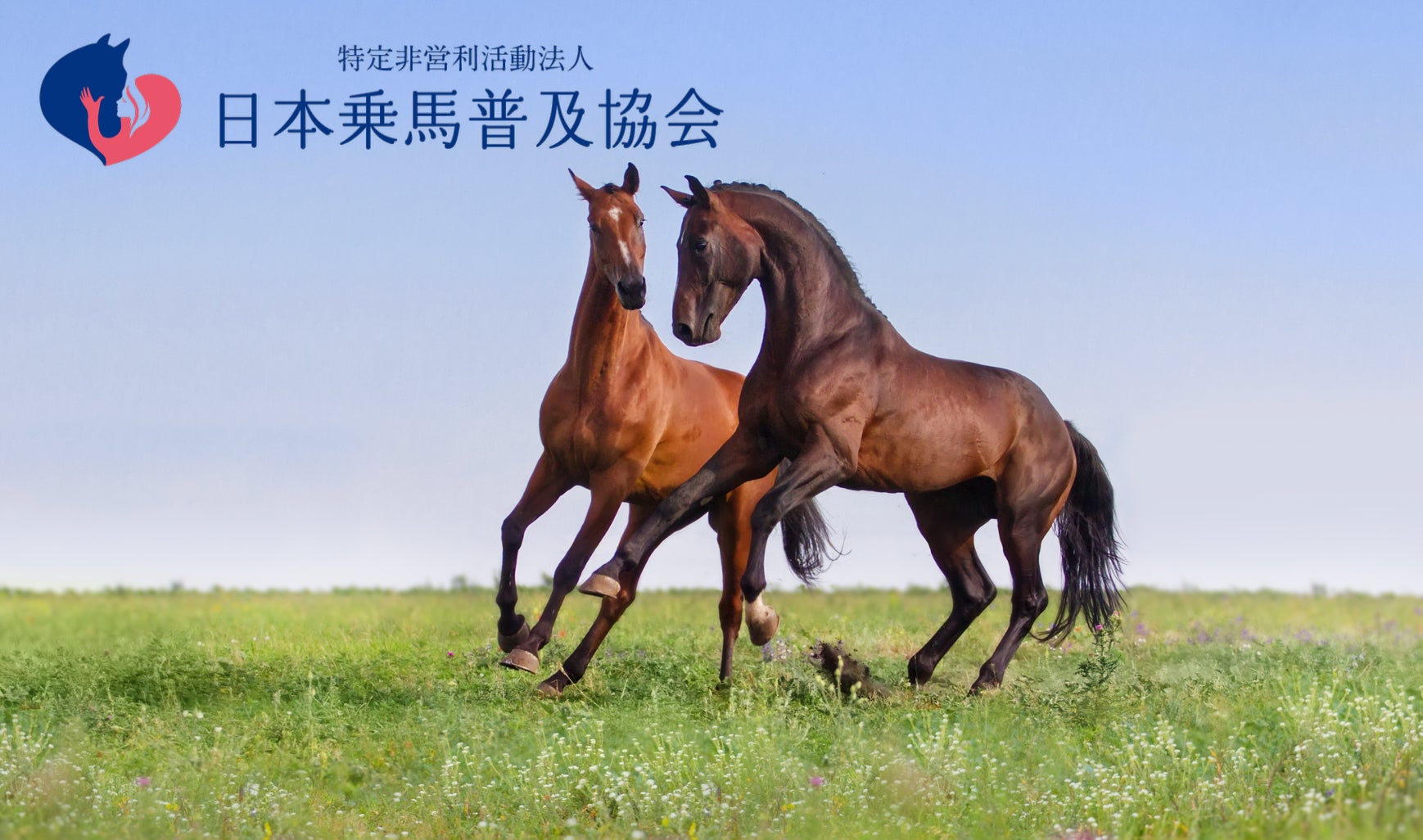 株式会社滋賀レイクスターズ 役員異動のご報告