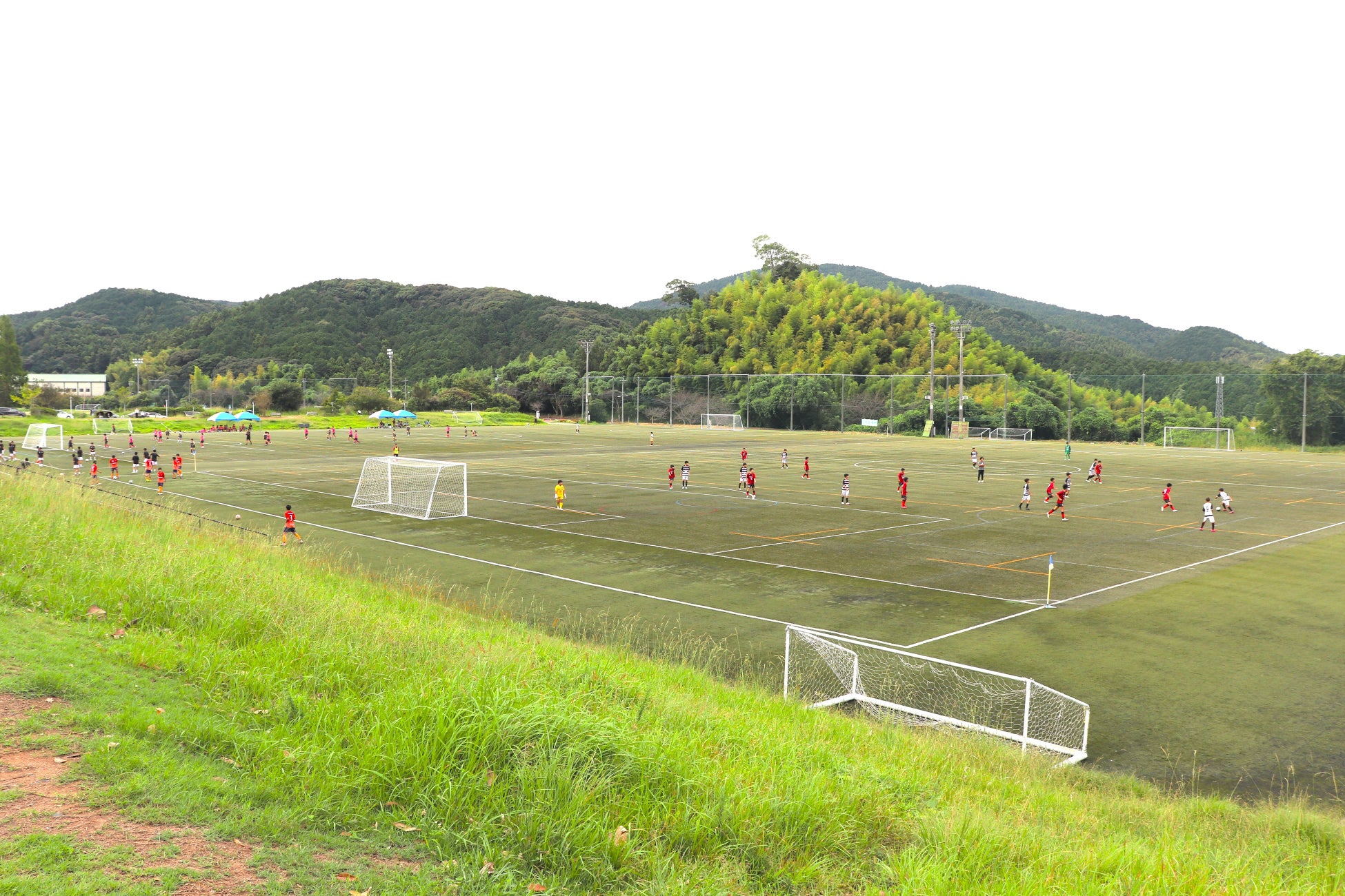 P・SPOポイントでドリンクGET!ご好評につき、100円自販機と連携した交換サービスを恒常提供へ