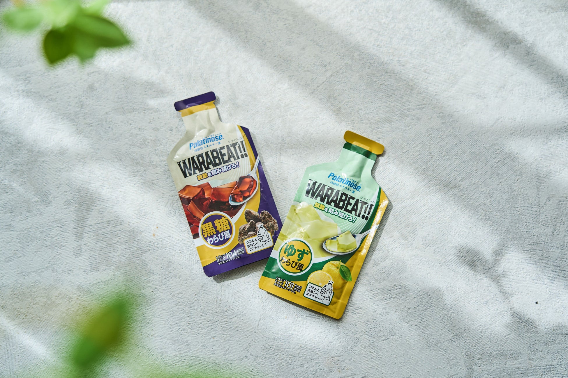 チタニストラボラトリーズ、東京グレートベアーズとオフィシャルパートナー契約を本年度2025年~2026年も更新