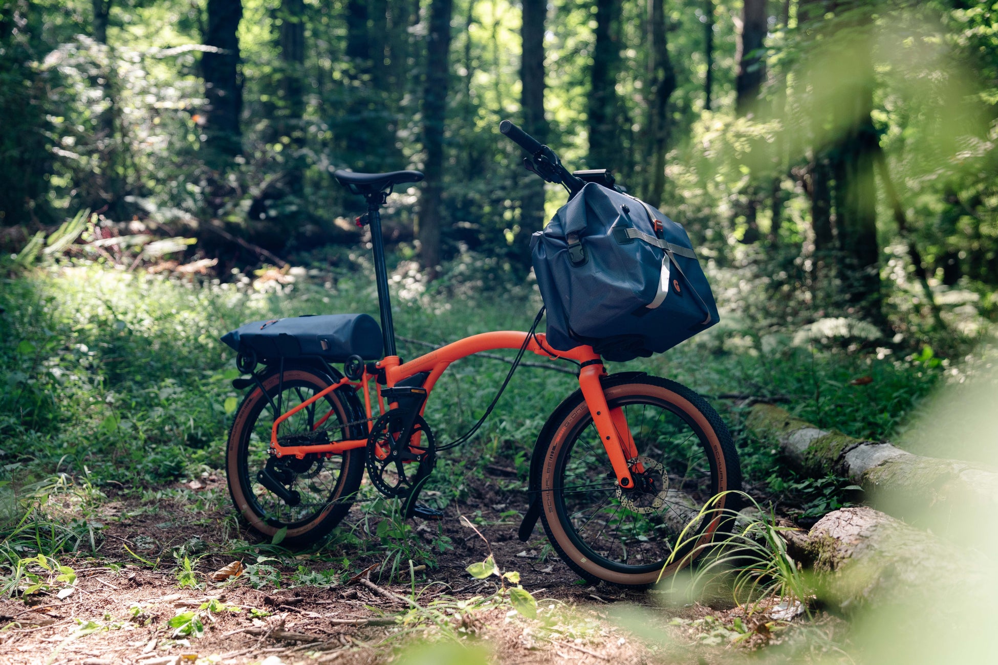 東京都心4店舗 縦断イベントを開催しました!「IFBB PRO 廣川翔一選手 トレーニングレクチャー会」!