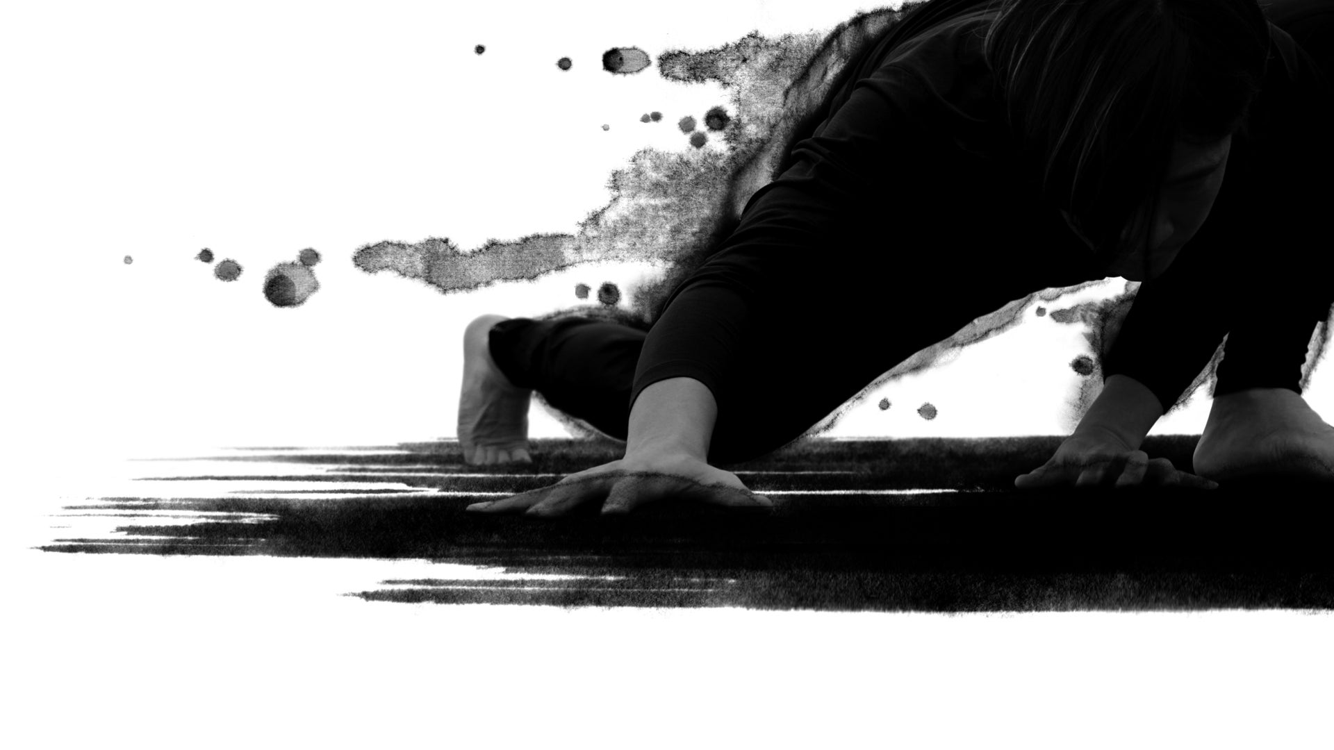 ペットフード寄贈プロジェクト始動1!