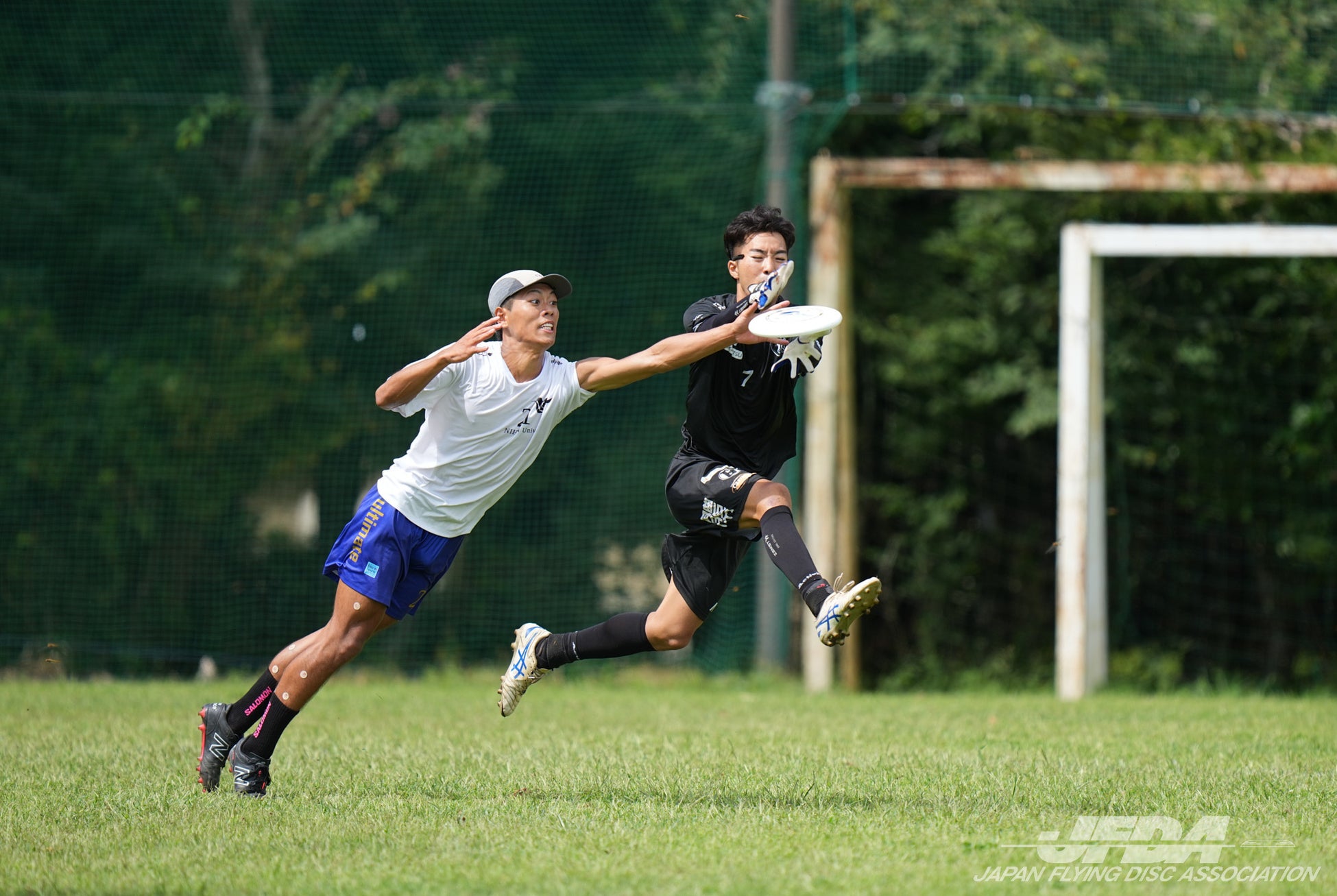 日本フレスコボール協会（JFBA）公認の四国フレスコボール協会が10月11日(土)「AutumnBeachFes」にて徳島県初となる「フレスコボール四国大会2025」を開催決定。