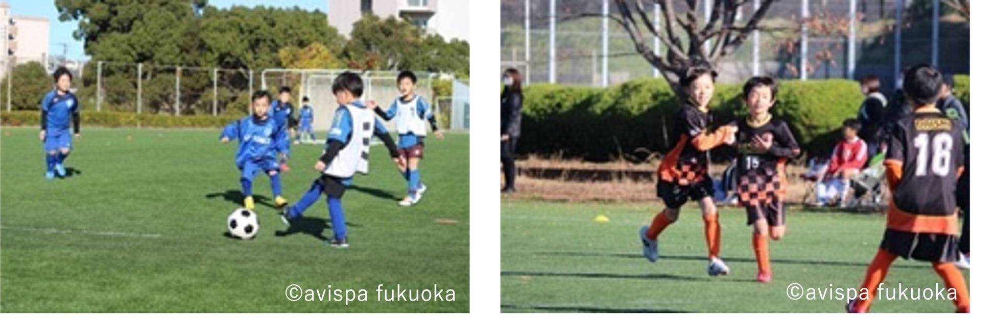 《ZETT》高いグリップ性とデザイン性を兼ね備えたハイブリッドモデル！一般用バッティンググラブ【GRAPHIC GRIP GLOVE】限定モデル登場！