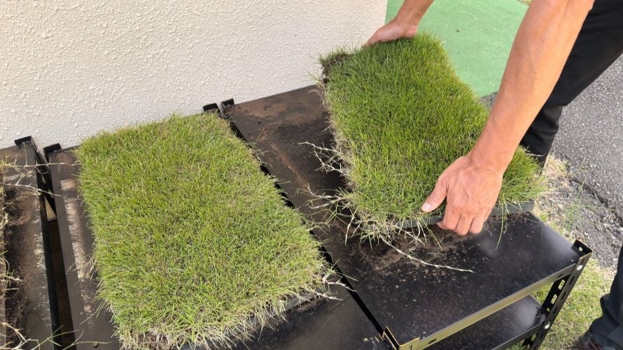 「SFL: Pro-JP 2025」、「CAPCOM CUP 12/SFL: ワールドチャンピオンシップ 2025」会場観戦チケットの抽選販売受付を開始！