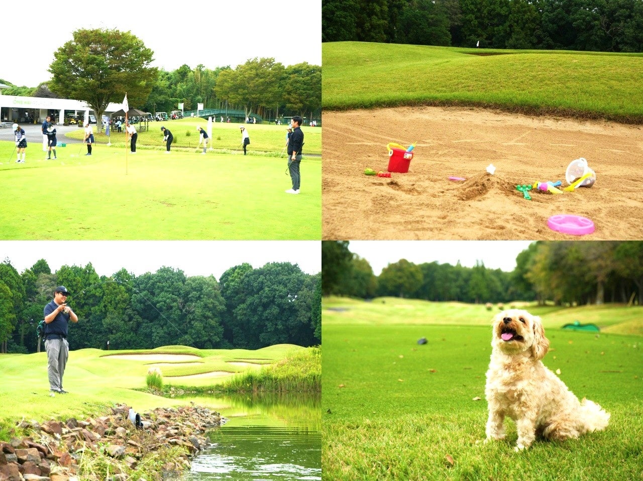 【大箱根カントリークラブ】ゴルフ練習に革命とサスティナビリティを。ゴルフ場導入は全国初「天然芝の練習打席　SHIBAHUプレート」を新設