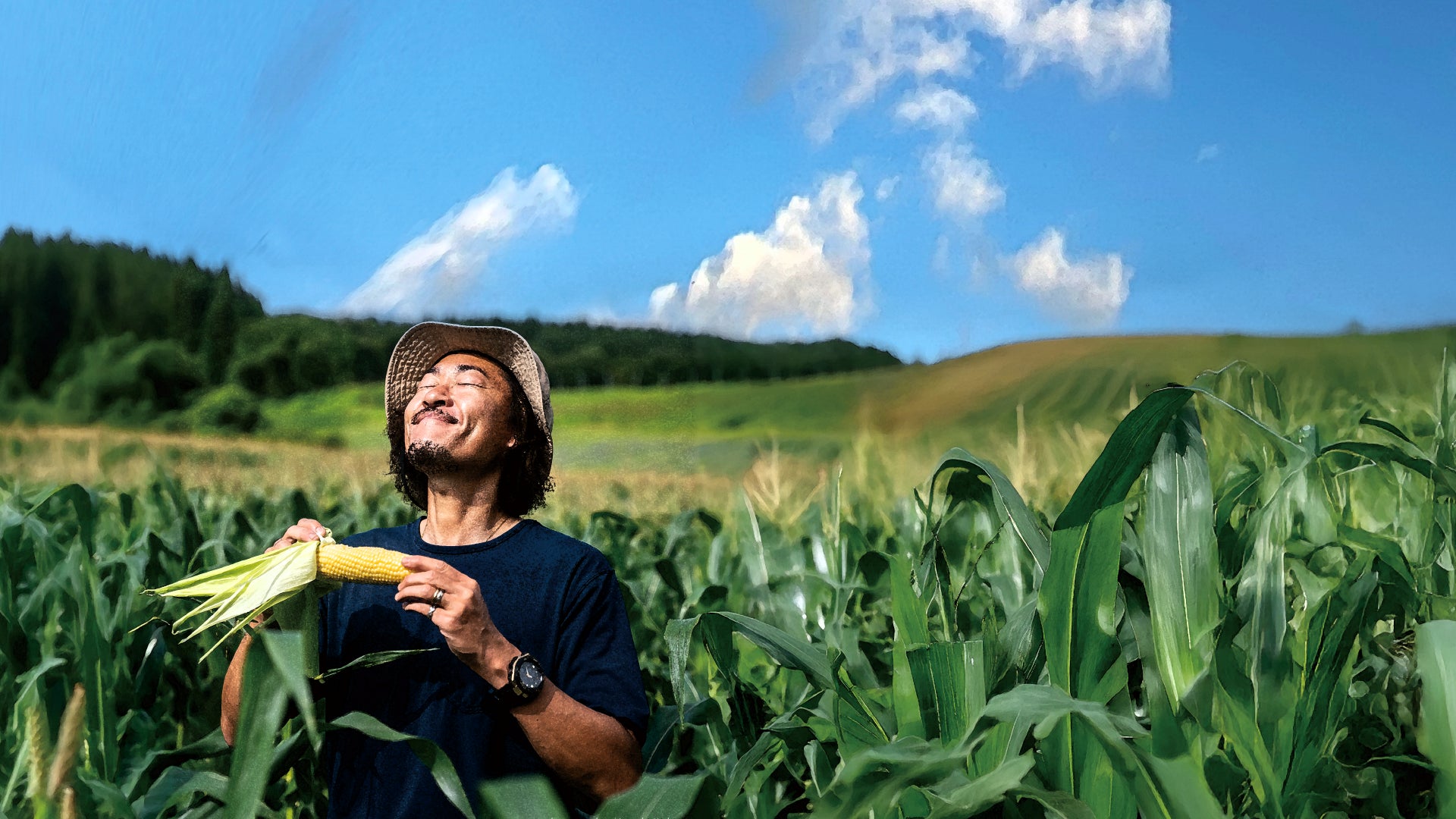 阪神タイガース×ひこにゃん 夢のコラボがついに実現！先行販売は2025年10月18日(土)、19日(日)、一般販売は2025年10月24日(金)