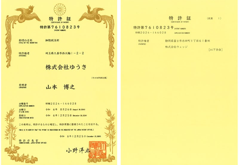 コアフォースブランドのサプリメント『コアフォースNMN』、配合の独自成分で特許を取得。NMNと機能性ゼオライトの組み合わせによる「肝細胞・線維芽細胞」への活性作用が認められる。