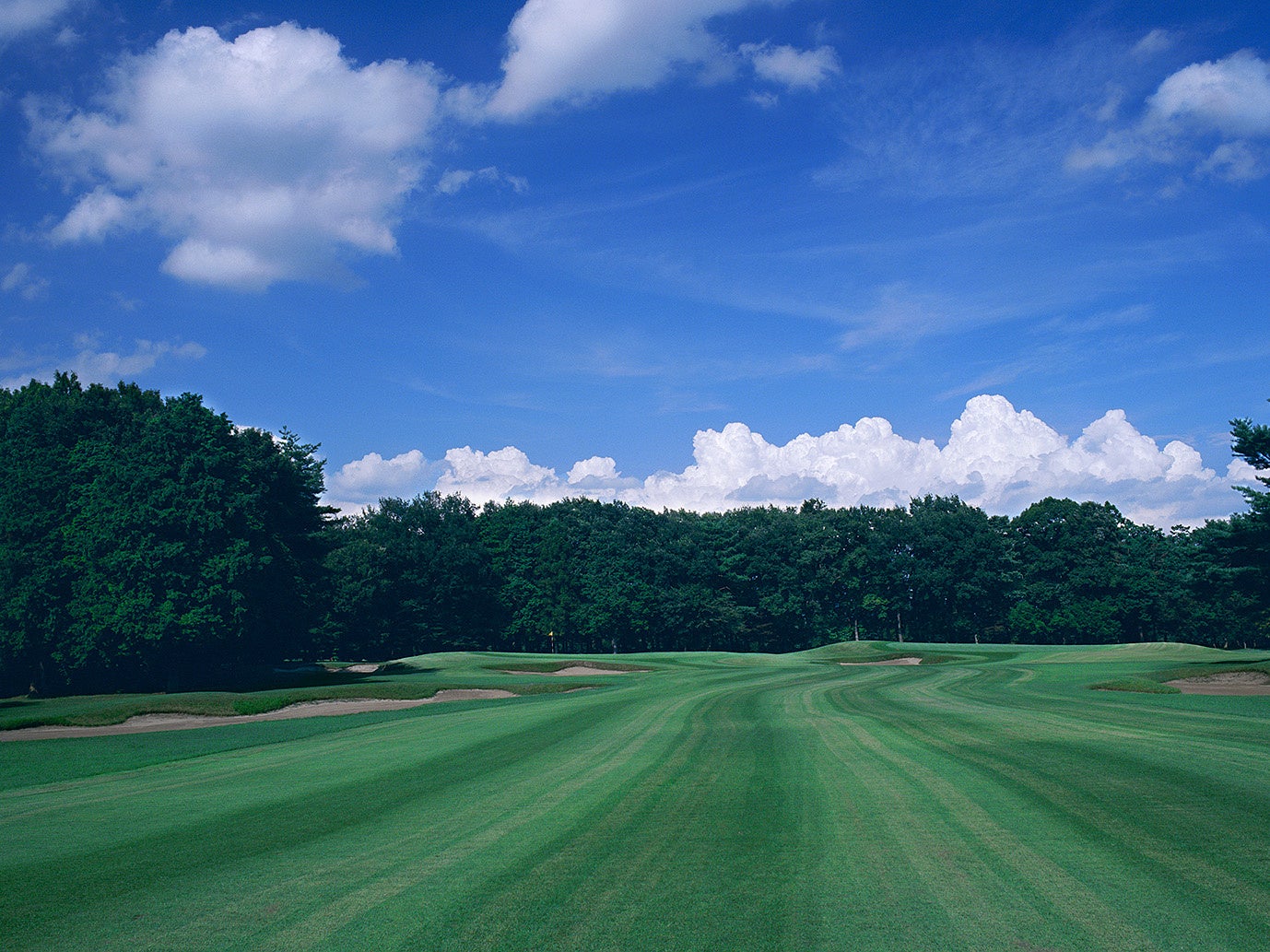 『横浜FCホームタウンTHANKS DAY2025』 開催のお知らせ