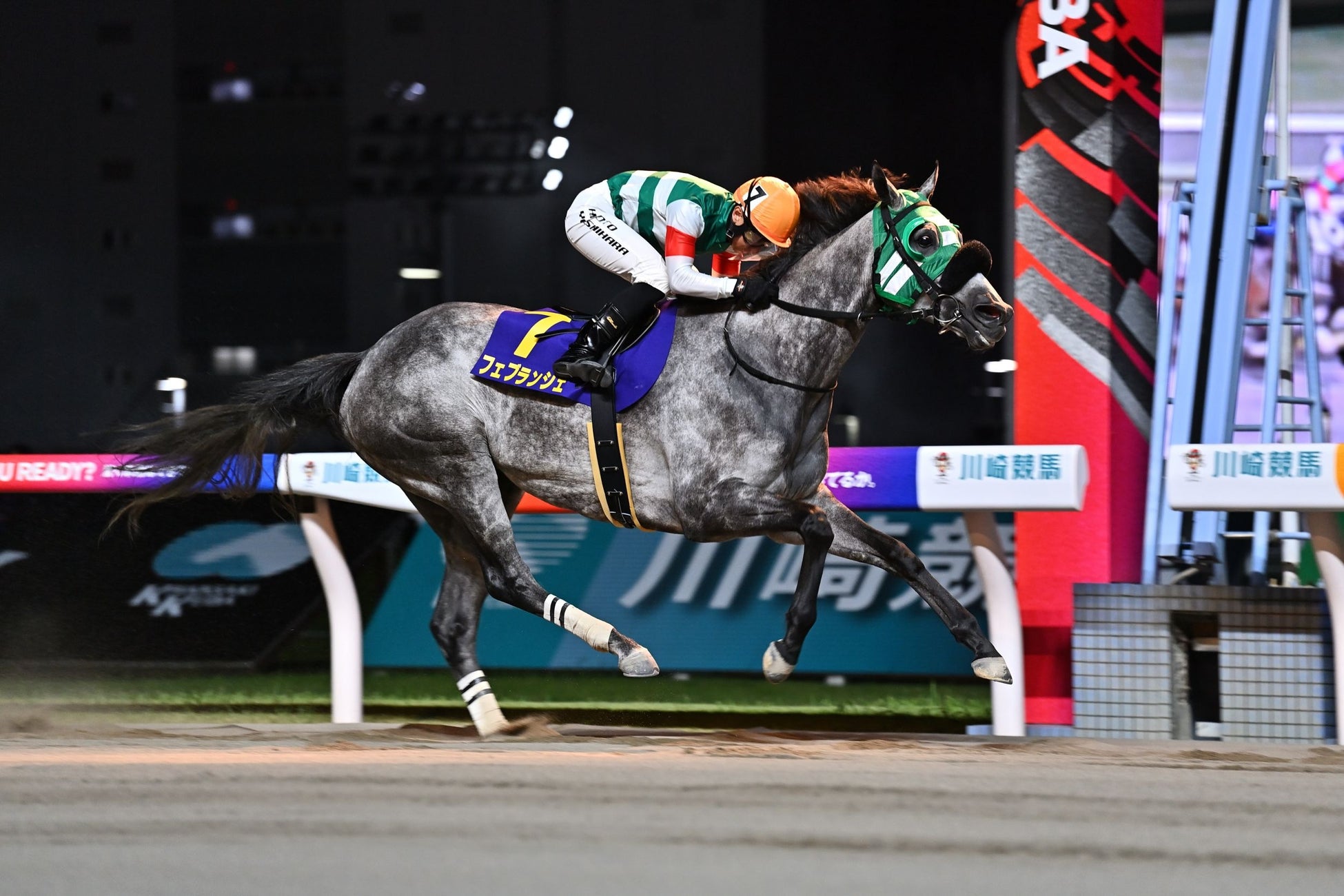 【PIA DAIMANI Hospitality Experience(株)】「フォーラムエイト・ラリージャパン2025」観戦を“プレミアム体験”に ― ホスピタリティ・プログラム販売中