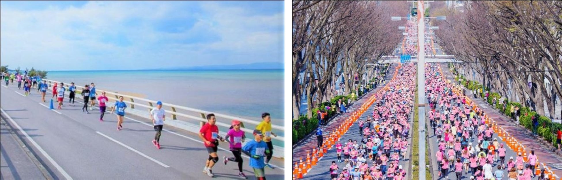 IBTF世界テクニカルバトントワーリング選手権大会の入賞者が知事を訪問します