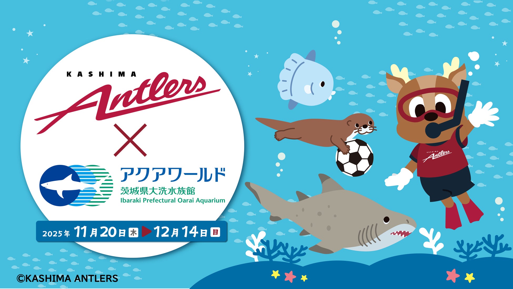 横浜F・マリノスの試合において、誰もがサッカー観戦を楽しめる空間「いちごpresentsフレンドリールーム」を開催(2025シーズン第3回)