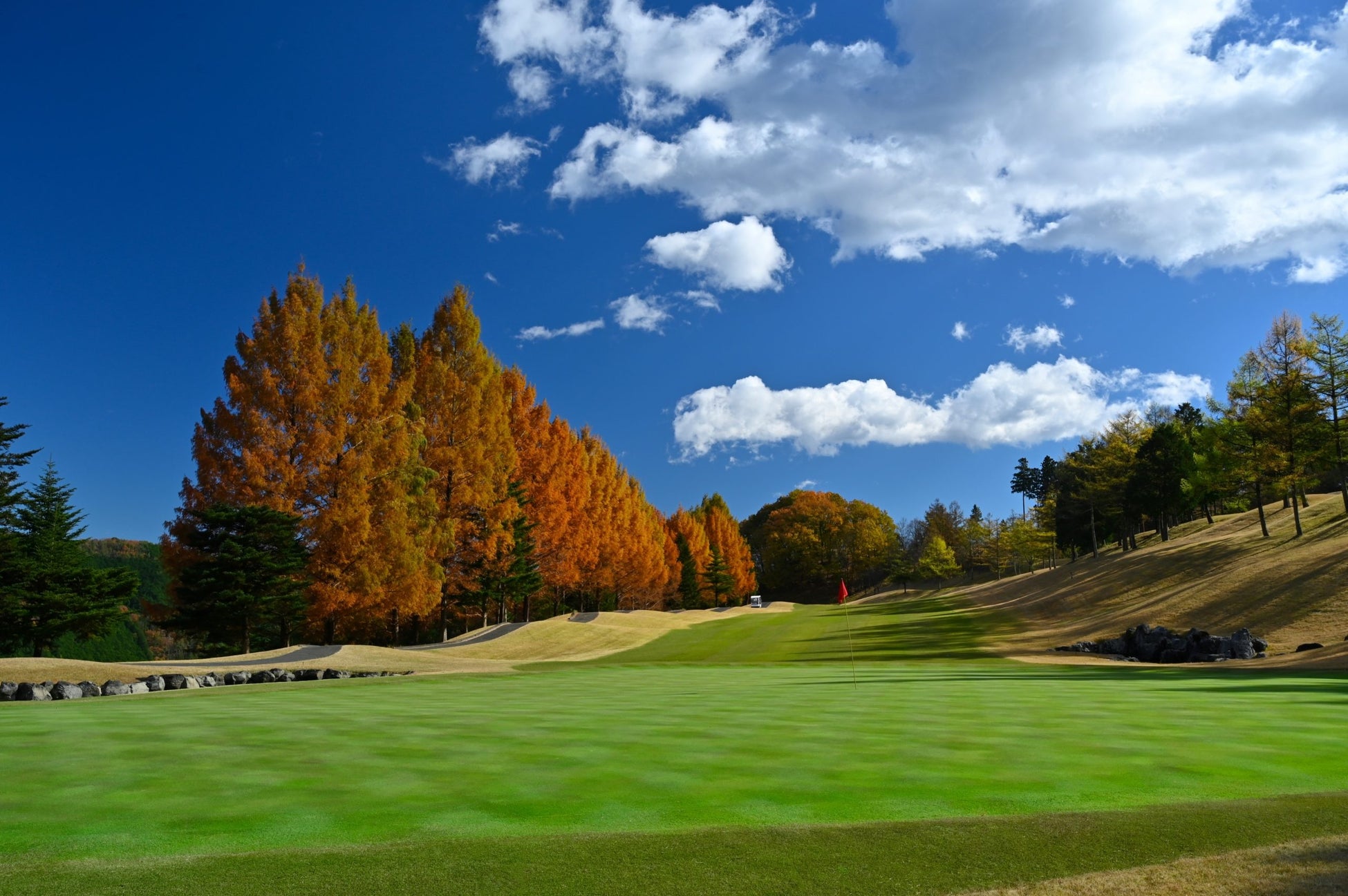 Algoageと新規ロイヤルパートナー契約のお知らせ