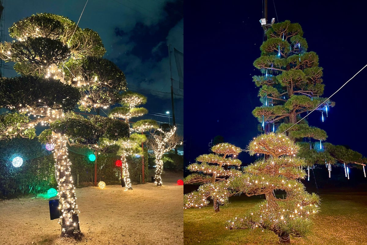 “光の中で打つ”新感覚ゴルフ体験！座間の夜を彩る『ZAMAGOLF ナイトイルミネーション 2025』が開幕