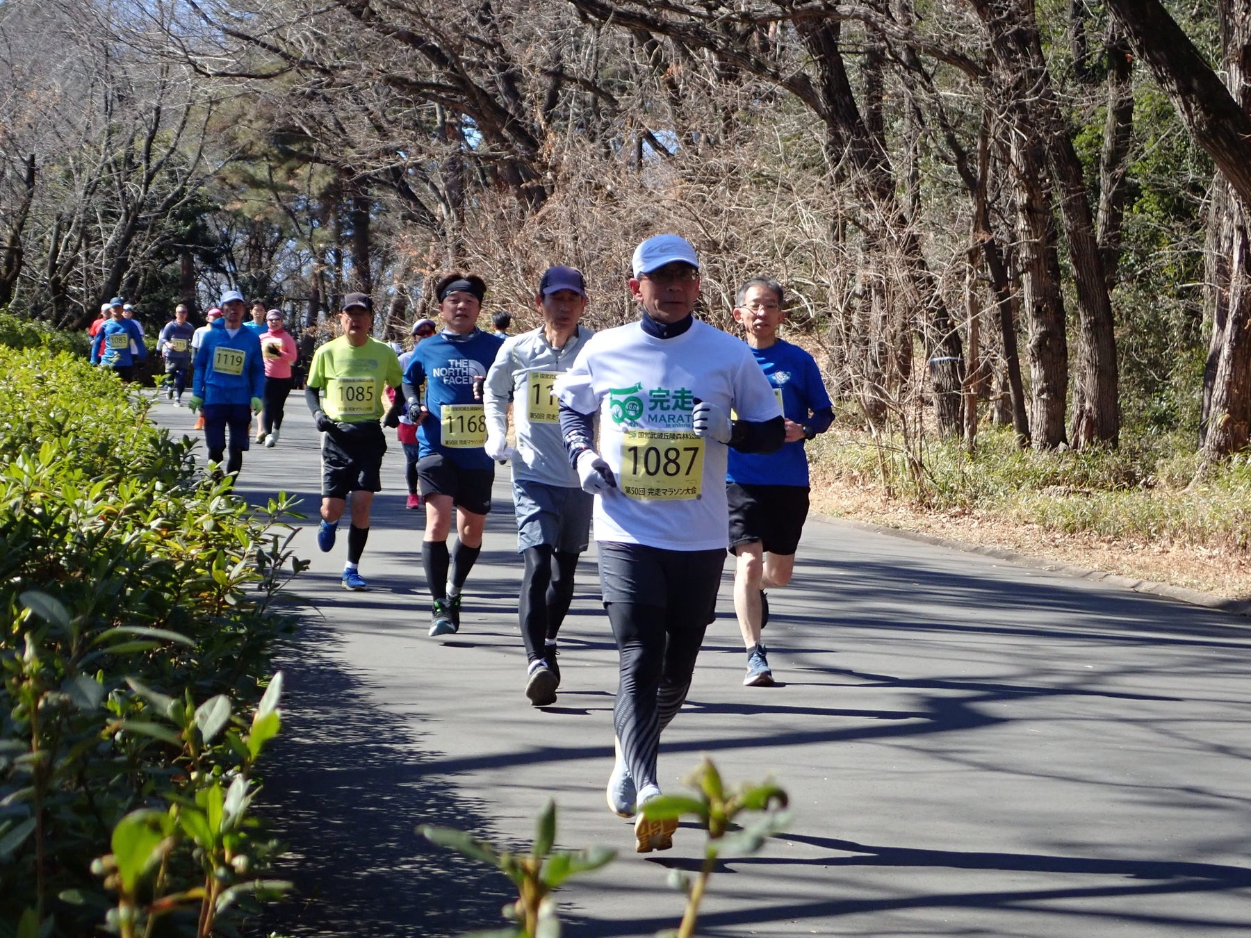 『第51回 完走マラソン大会』募集締め切り迫る！（国営武蔵丘陵森林公園）