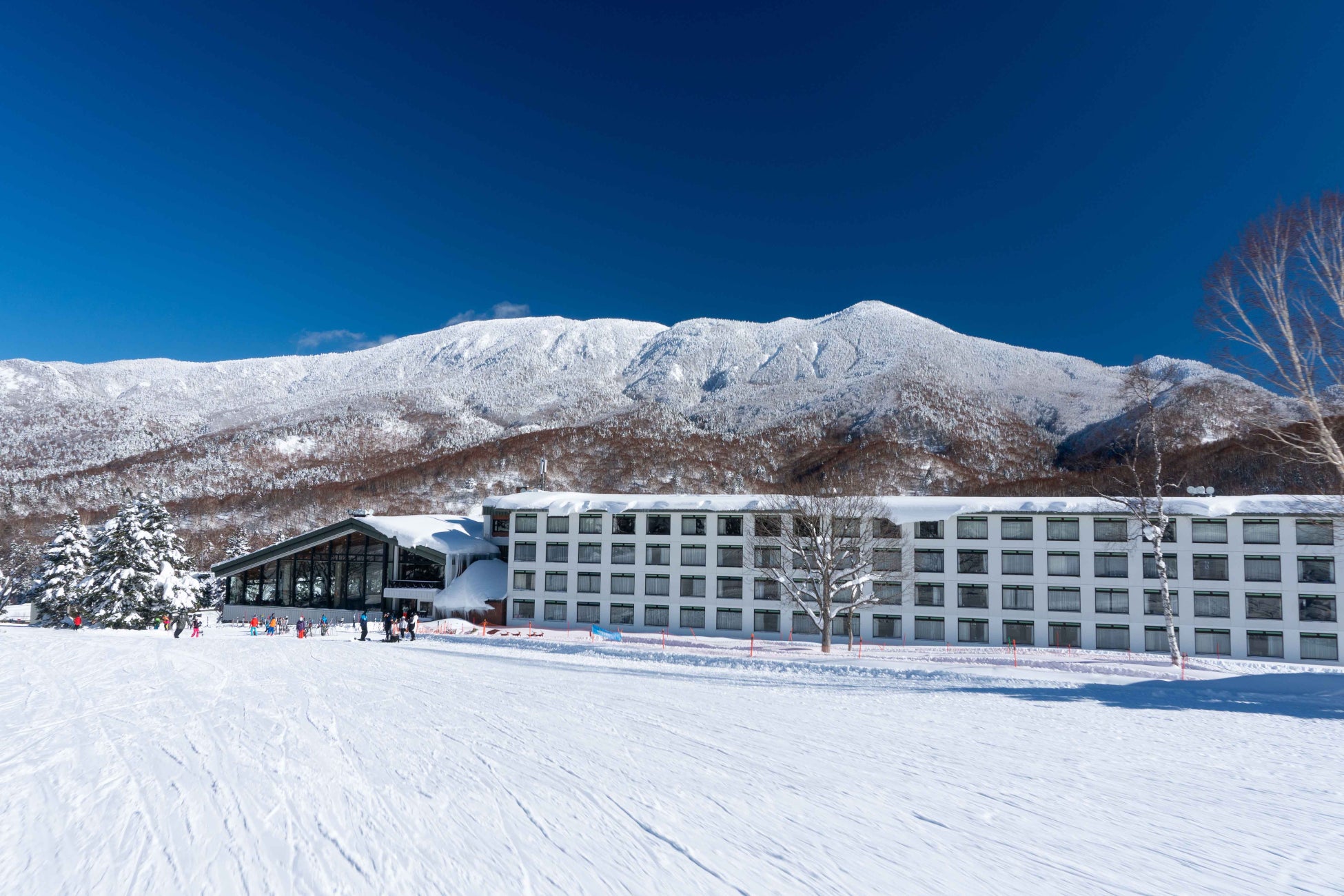 【志賀高原プリンスホテル】志賀高原の大自然を快適に満喫するためのウェルネス滞在プラン大里インターナショナルとの共同企画「ウェルビーイング×Immun’Âge Sport®」を販売