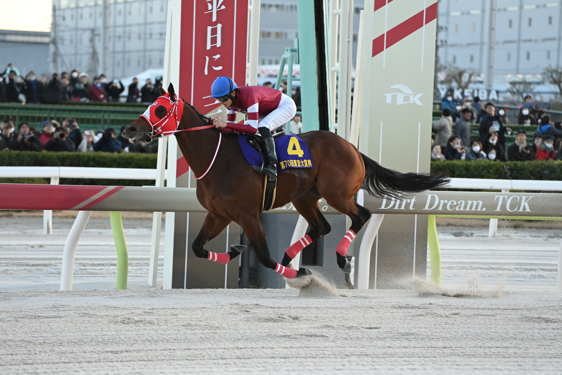 12月29日（月）ダート競馬の総決算「第71回東京大賞典（GⅠ）」出走馬16頭と枠順が決定！！3歳vs古馬のハイレベルな戦い。その行方は!? 世代交代か？それとも地方の意地か？運命のトキがくる！