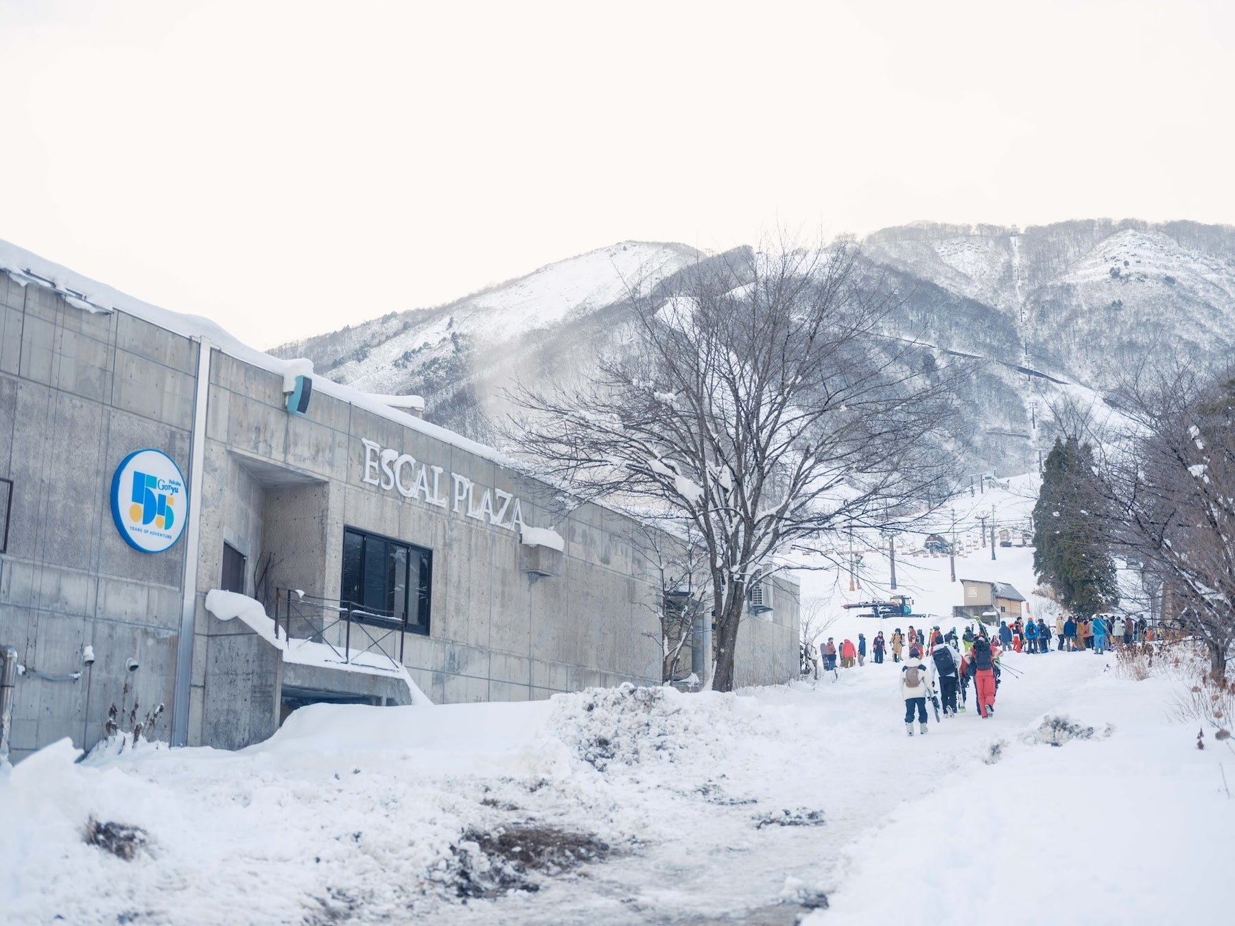 スキー場・エイブル白馬五竜、山頂レストランやベースセンターを大幅改善し全館フルオープン！