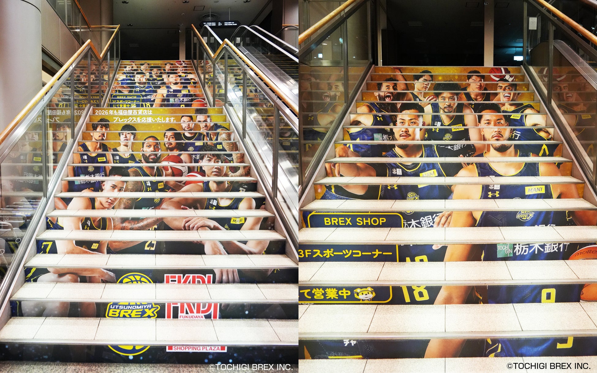 FKD宇都宮店 大階段 ブレックス装飾