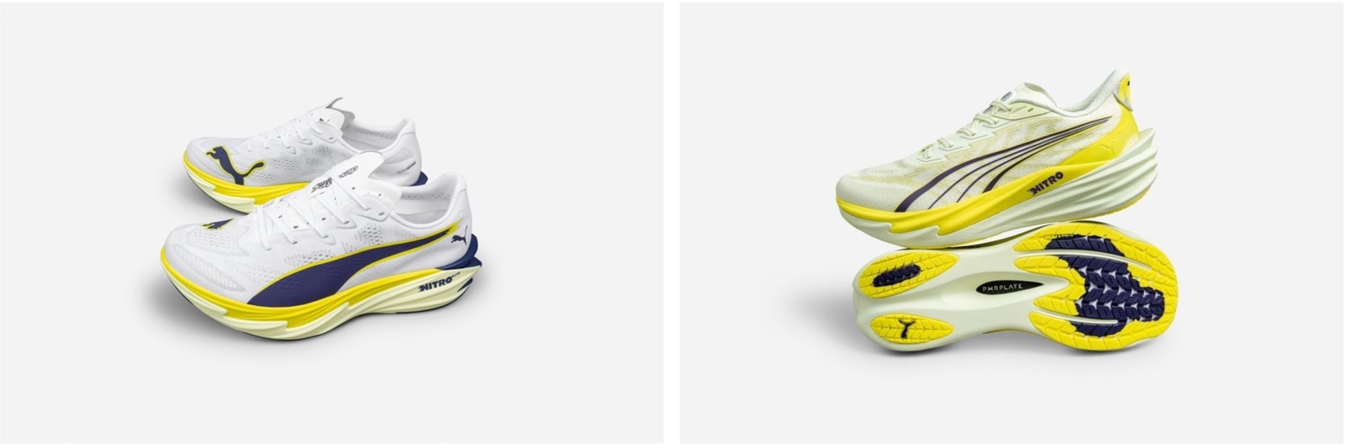 KPMGジャパン、大関・安青錦関および安治川部屋へのスポンサーシップを開始