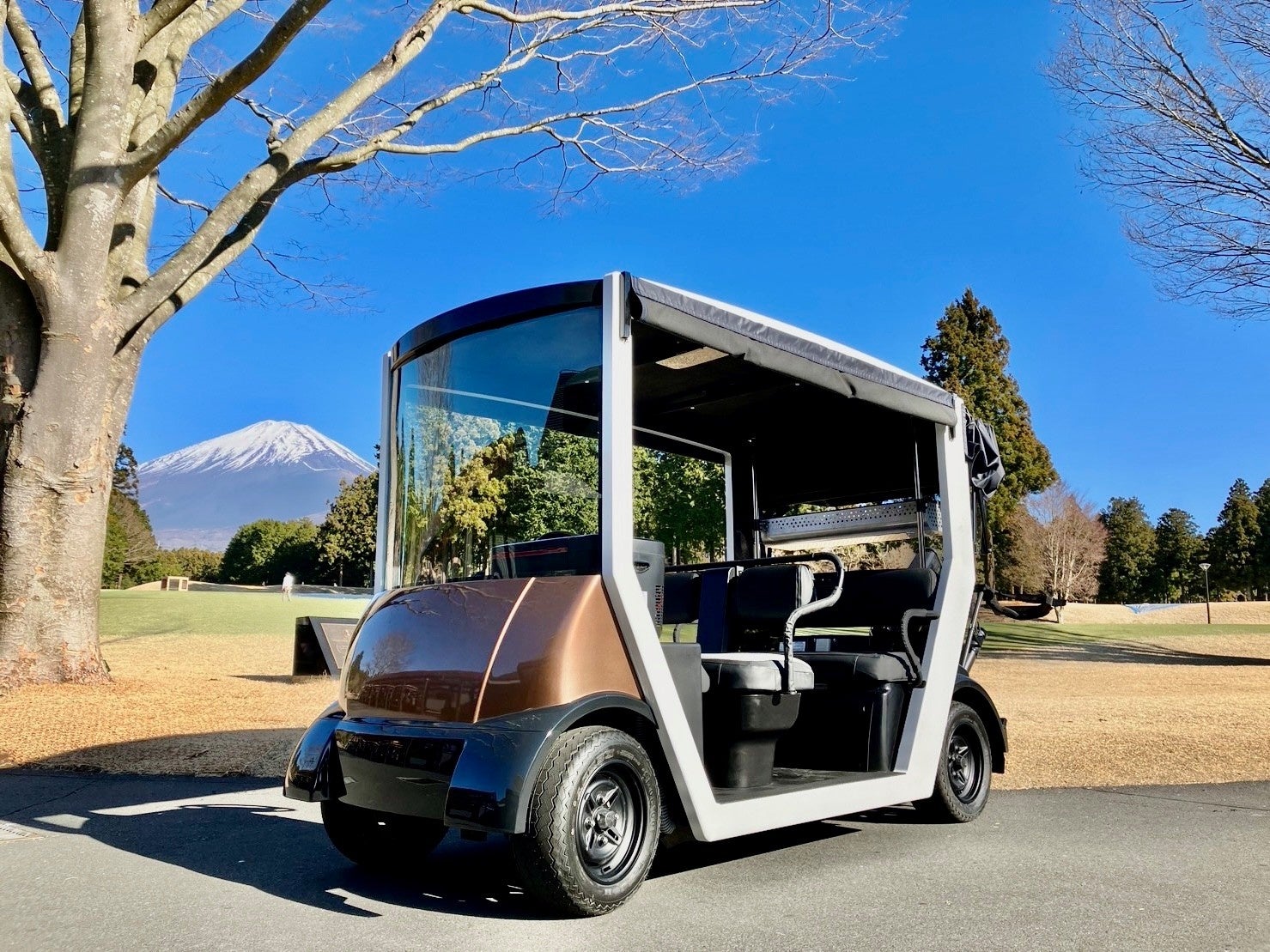 フルスペックゴルフカート【ROYALCOACH/ロイヤルコーチ】