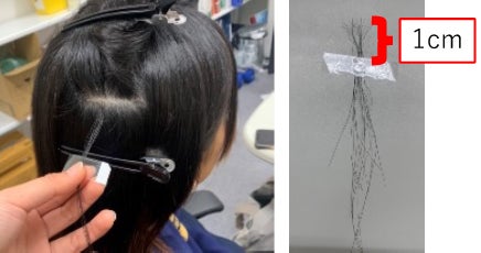 【新潟医療福祉大学】アスリートの心の疲れ、実は髪に出ていた？～毛髪中の「愛情ホルモン」が示すメンタル不調～