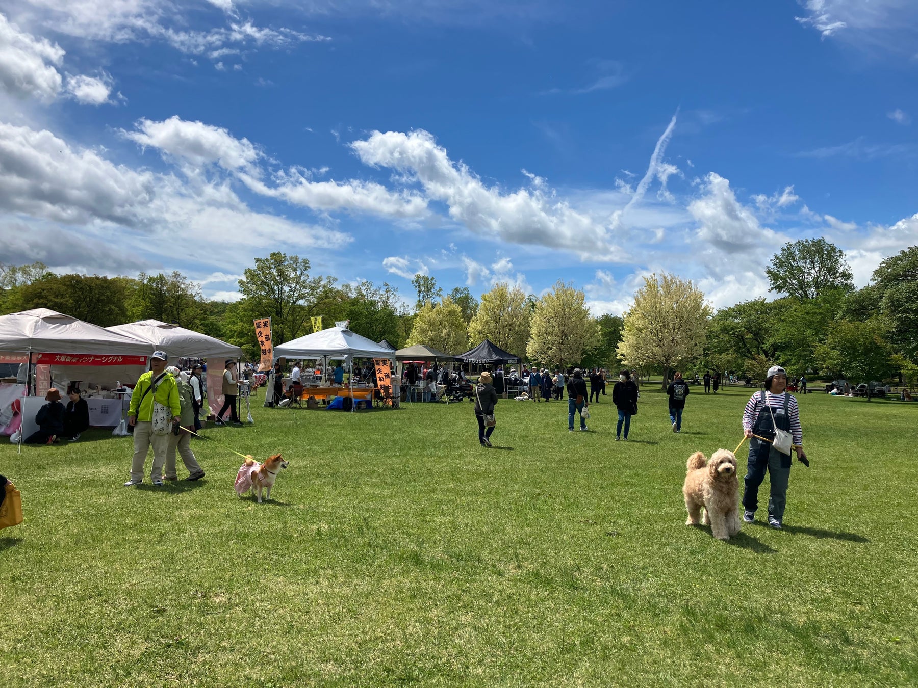 『みちのく杜のドッグフェスティバル2026』『みちのくWAN FUN RUN2026』国営みちのく杜の湖畔公園で同時開催決定！