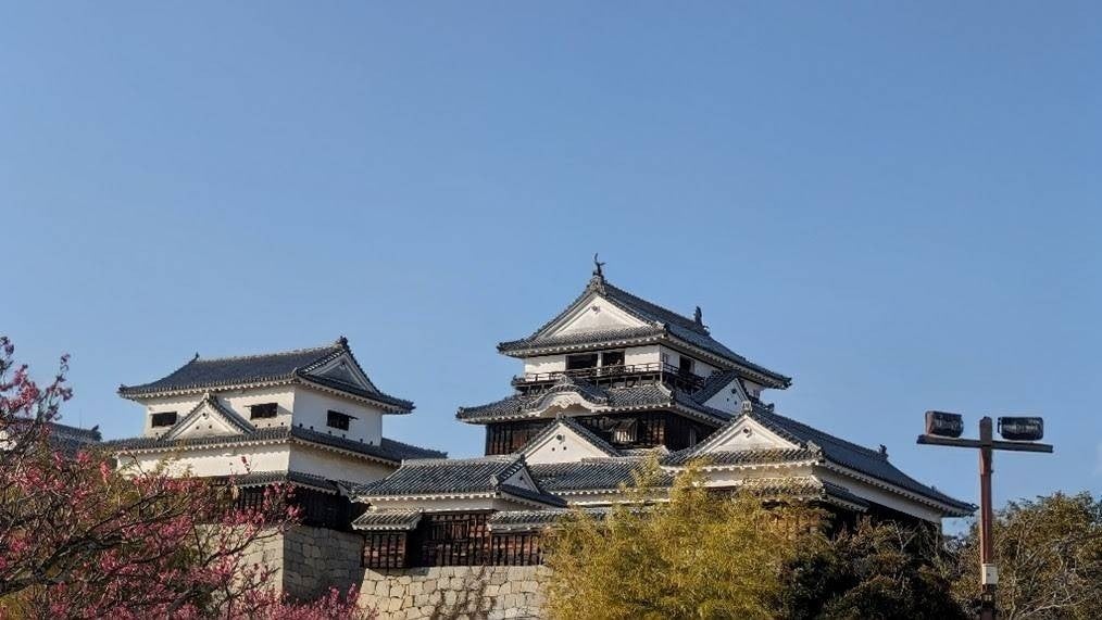 第63回愛媛マラソンにて2年連続でアート不動産　公式記録入りデジタル完走証の発行を支援