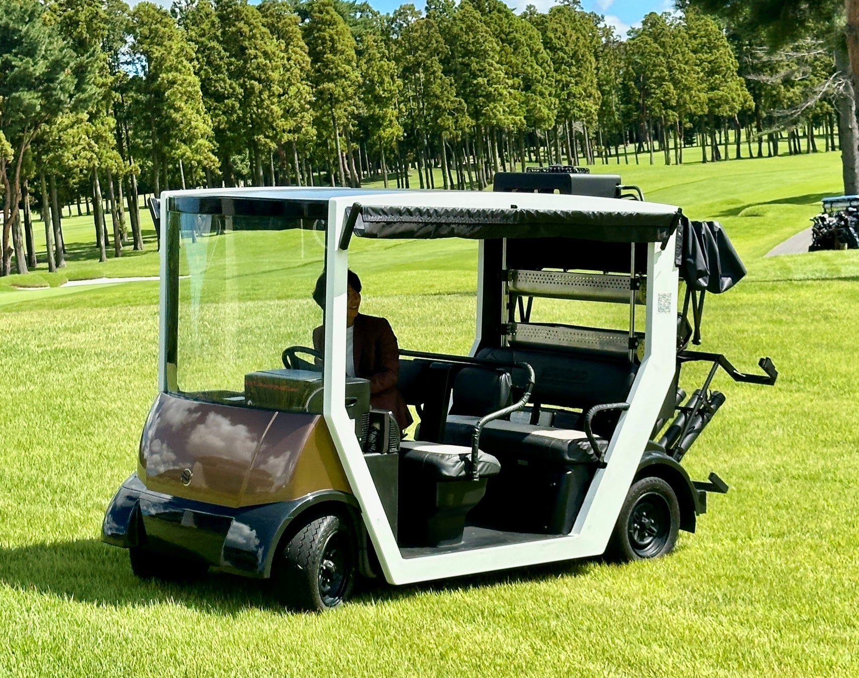 フルスペックゴルフカート【ロイヤルコーチ】