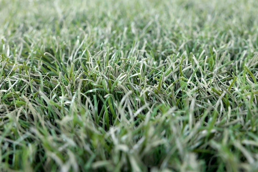 海を含めた自然界で分解する生分解性人工芝「Re Green Grass 9」