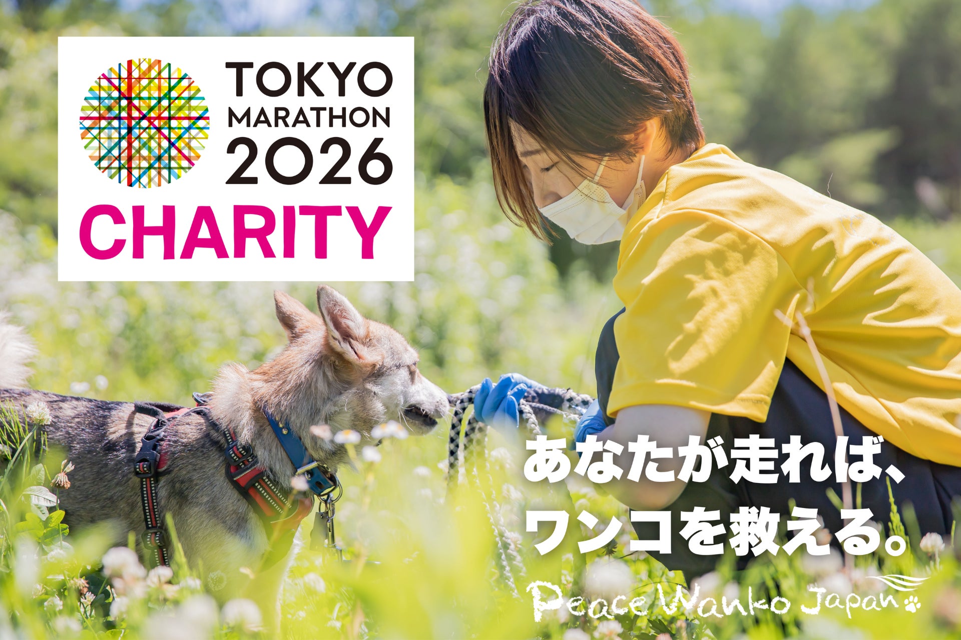 「ピースワンコ」が東京マラソン2026チャリティ寄付先団体として参加！国内外のチャリティランナー438名の走る一歩が、保護犬の命をつなぐ一歩に。