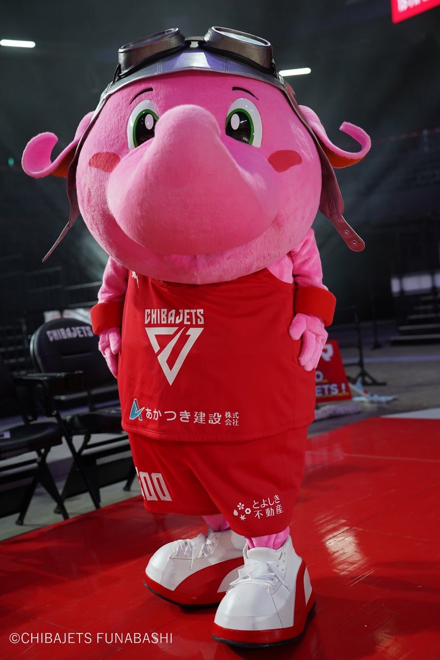 とよしき不動産がジャンボくんのユニフォームに出現？千葉ジェッツとオフィシャルパートナー契約を締結