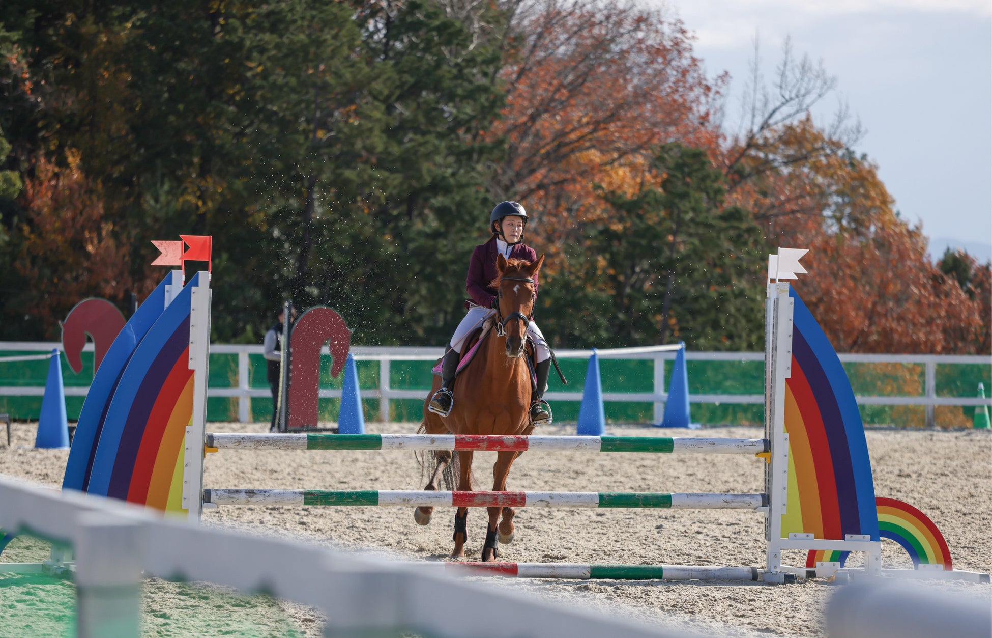 【4/29・30開催】引退競走馬の“次の舞台”を発信する馬術競技会「サラブレッドホースショー ザ・セカンドキャリア 」—ステージイベントには武豊騎手・福永祐一調教師・川田将雅騎手出演
