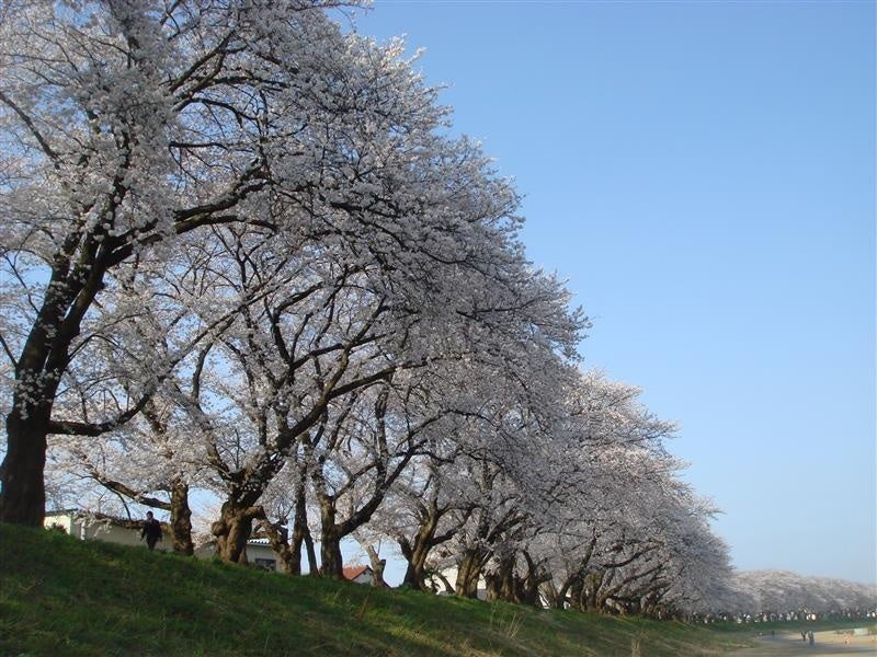 エイジェック高等学院　TVCM第二弾「特徴（スポーツ科学）篇」と「特徴（サポート校）篇」 を3月19日より放送開始