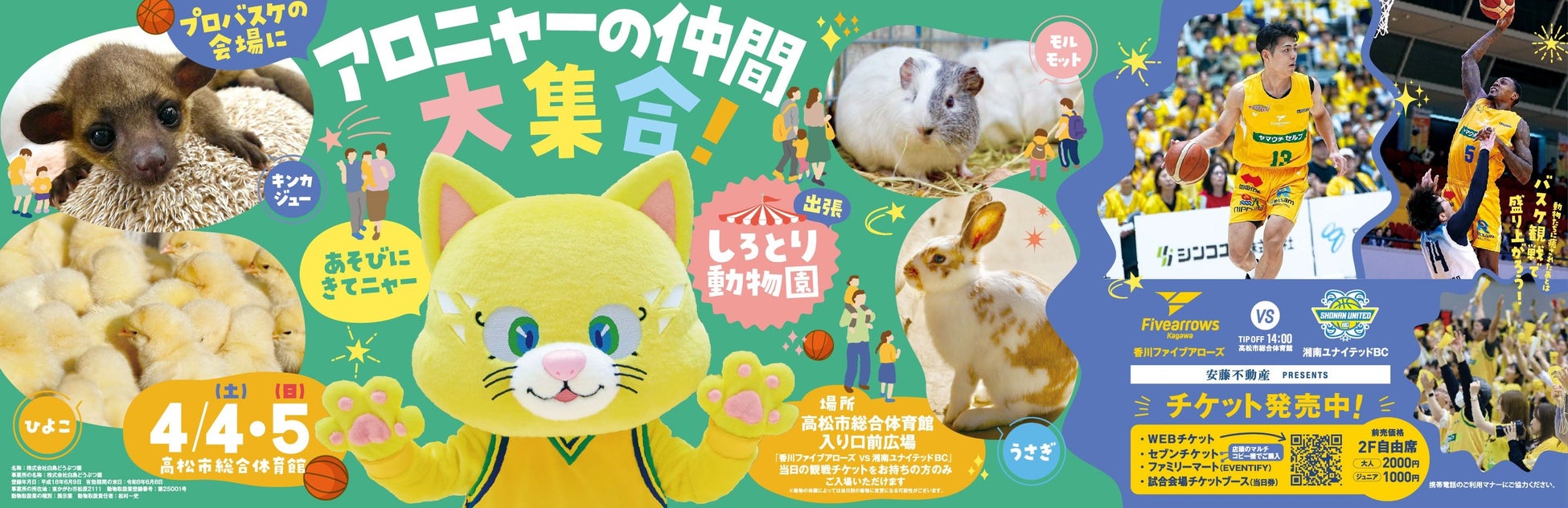 【香川ファイブアローズ】4/4-5ホームゲーム 安藤不動産presents「しろとり動物園」出張動物園がやってくる！