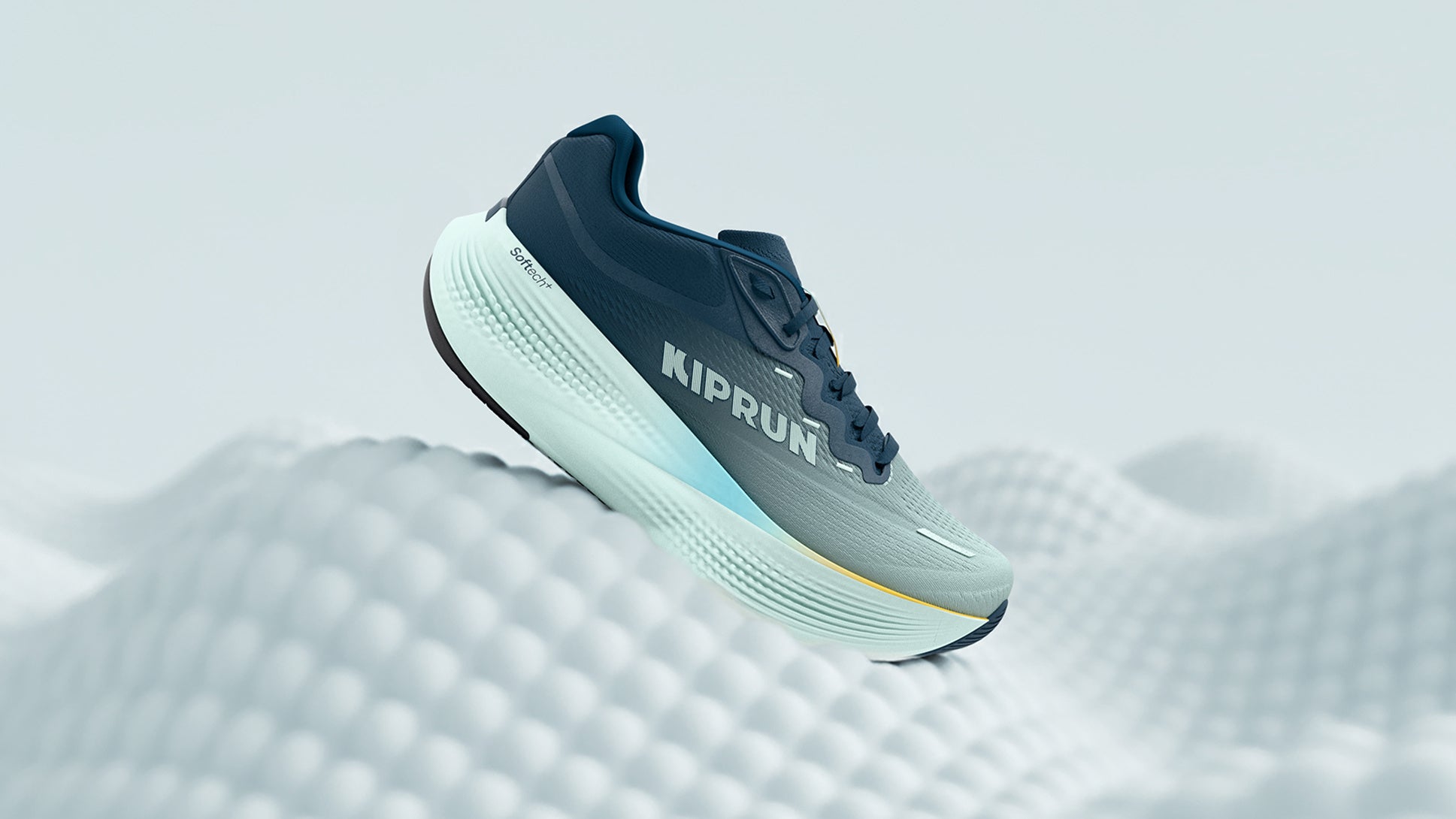 インフォマート、3年連続で「北海道ラグビーの日 2026」に協賛