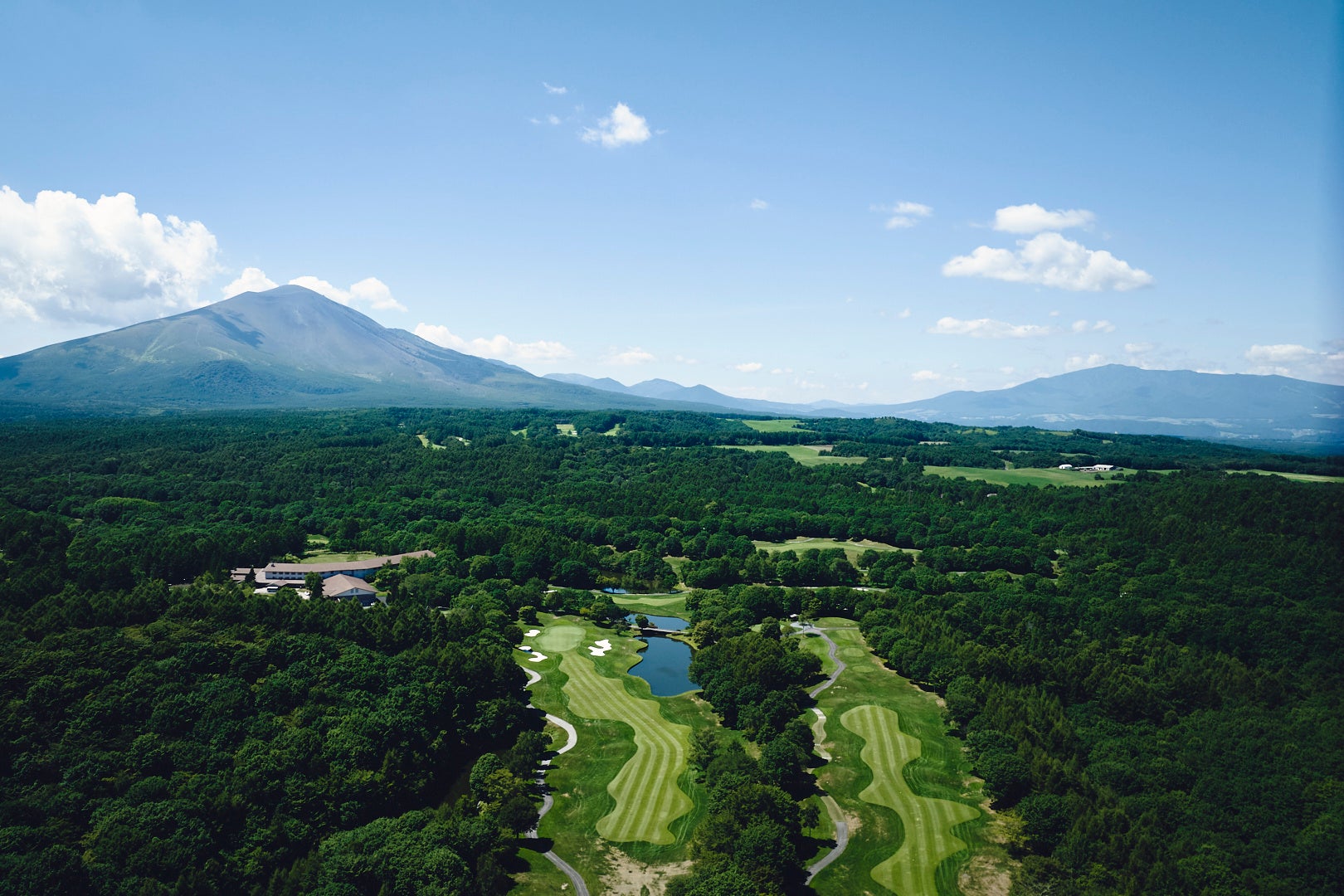 adidas「ADIZERO EVO SL WOVEN」春の新カラーが登場　アルペン限定カラーの展開やノベルティキャンペーンも開催