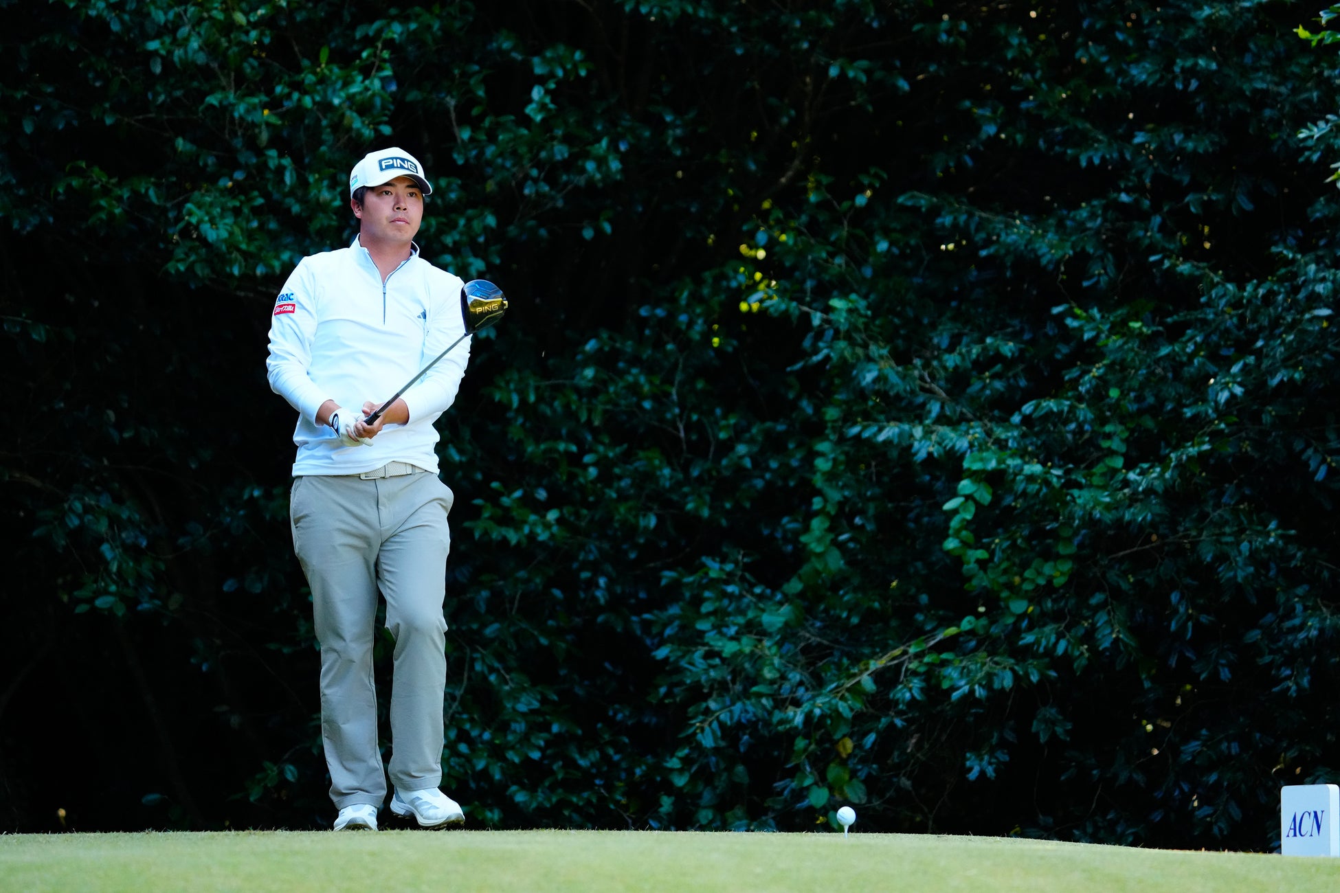 ジョイカルジャパン、プロゴルファー細野勇策選手とのスポンサー契約を更新