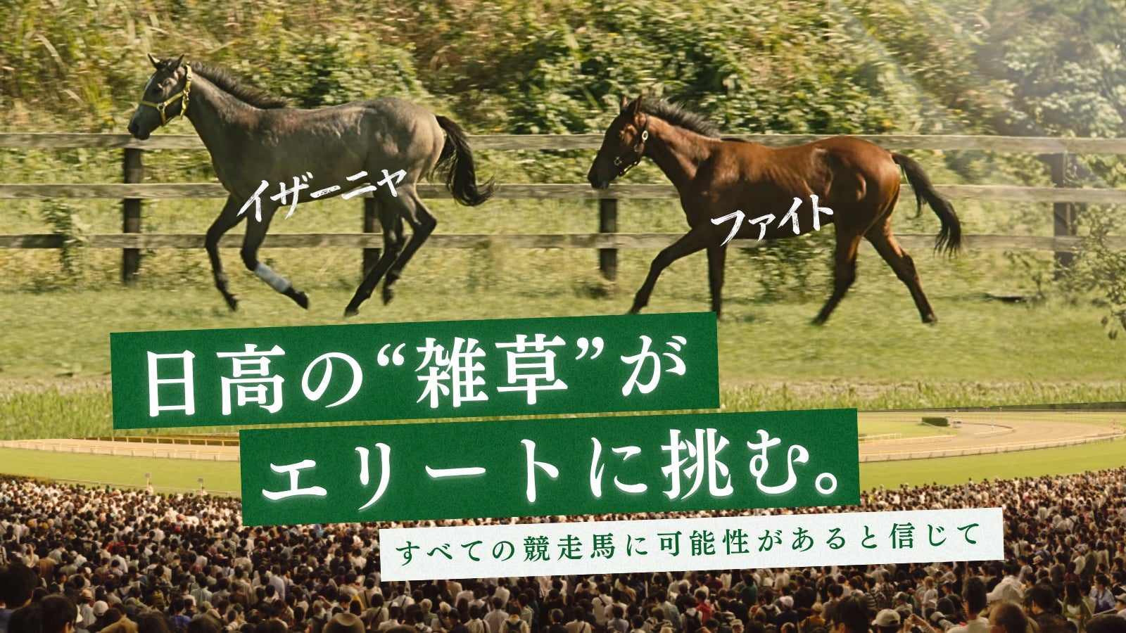 売却白紙になった”ドラマ出演馬”2頭を競走馬デビューへ。日高の牧場が1,000万円を目標に支援募集