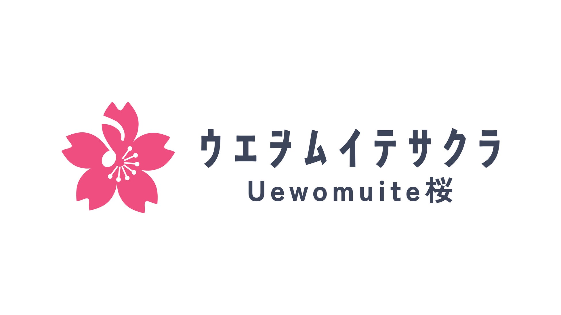 【シントトロイデン】株式会社Uewomuite桜様とのスポンサー契約締結に関して