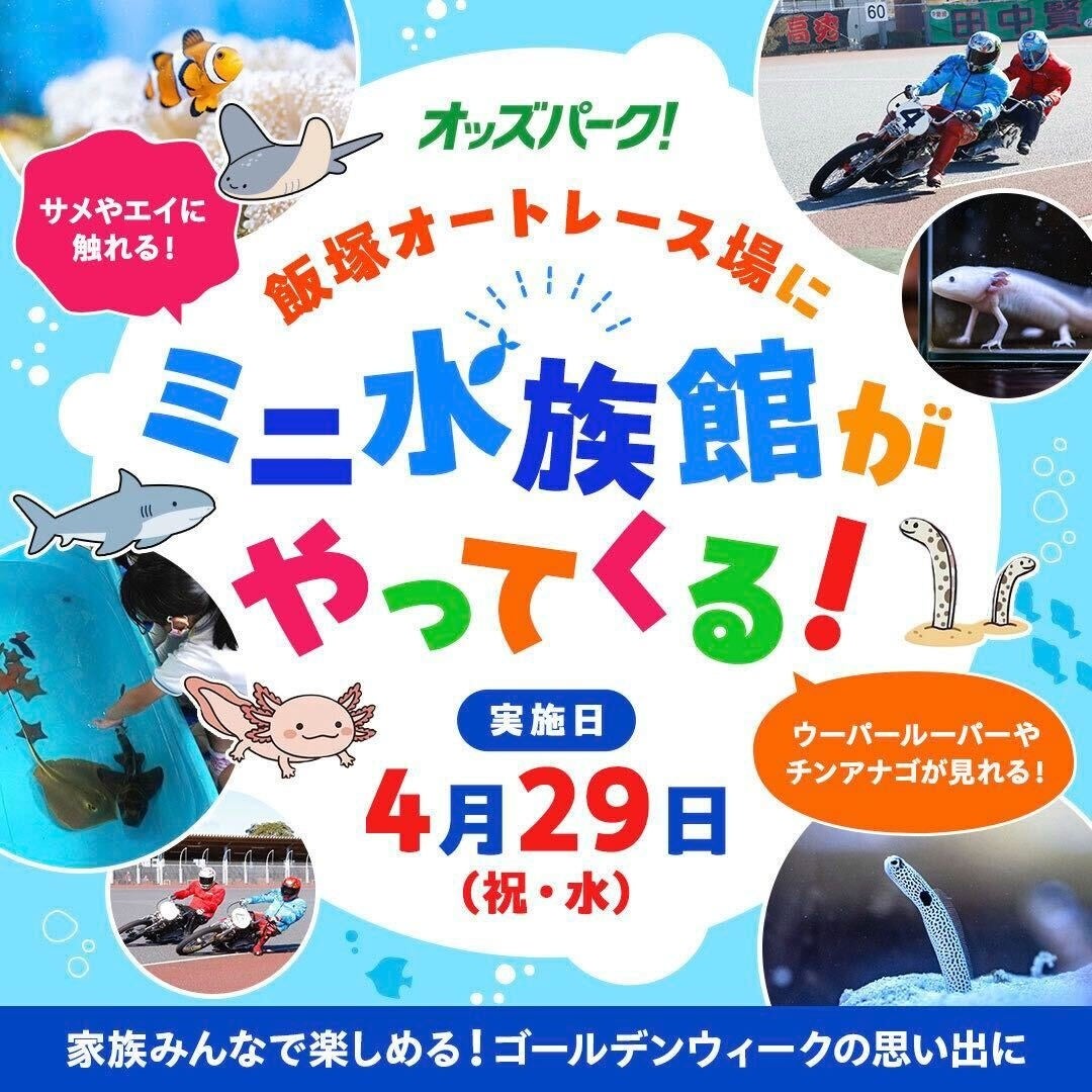 「わくわく海体験FEVER！飯塚オートにミニ水族館がやってくる！produced by OddsPark」4月29日（水・祝）に開催！