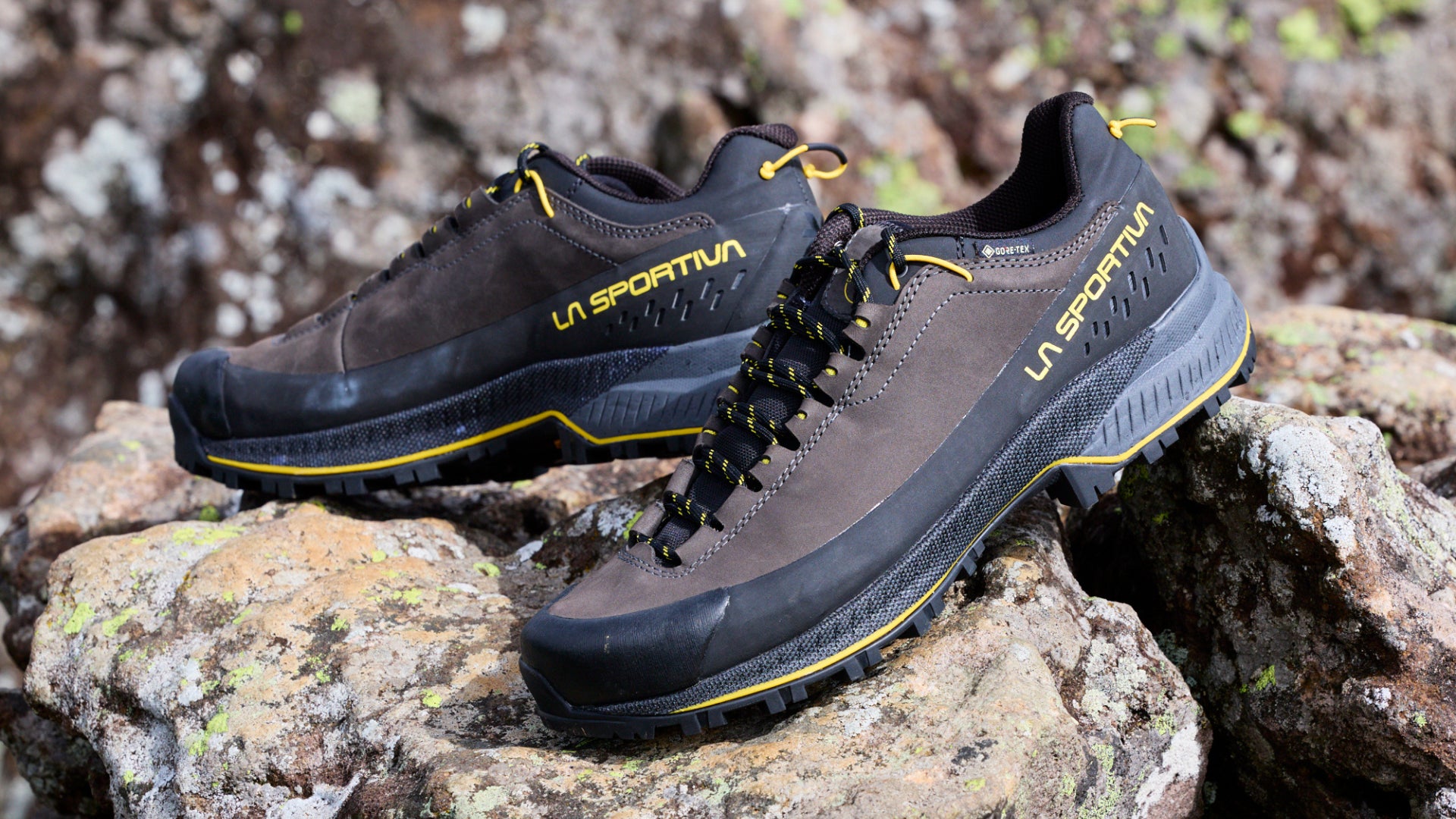LA SPORTIVA、主力モデル「TX5」が進化「TX5 EVO GTX®」4月24日発売