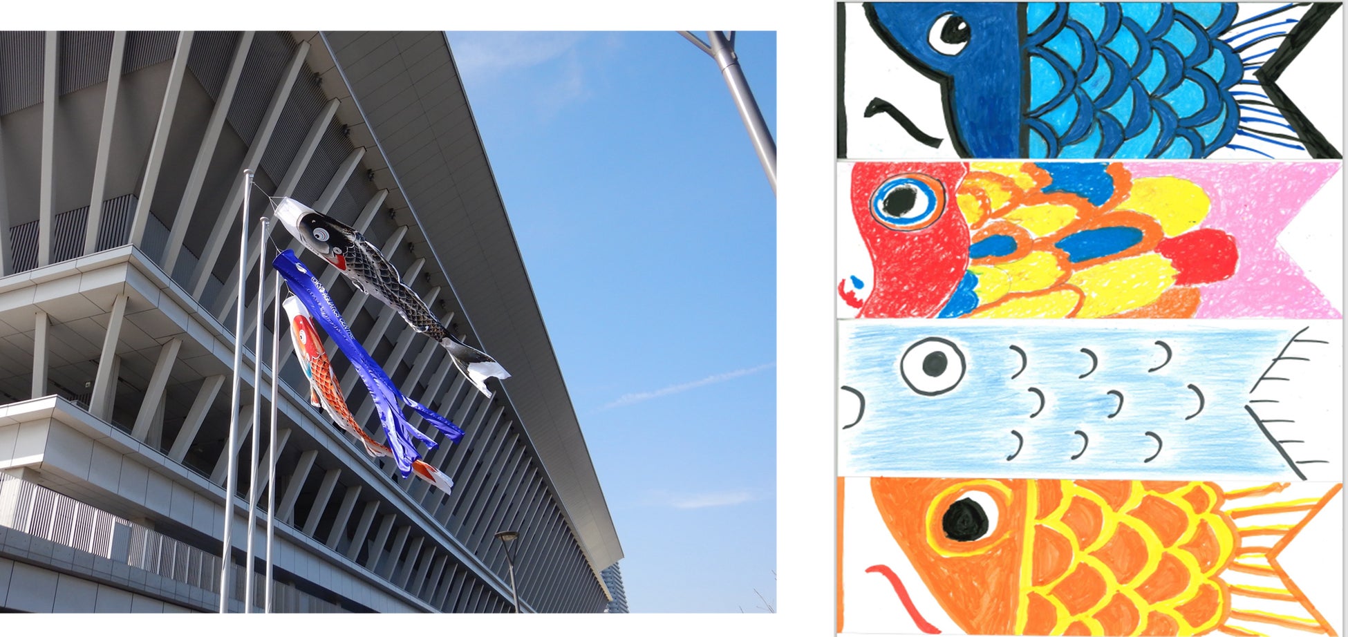 東京アクアティクスセンターでこいのぼり掲揚！