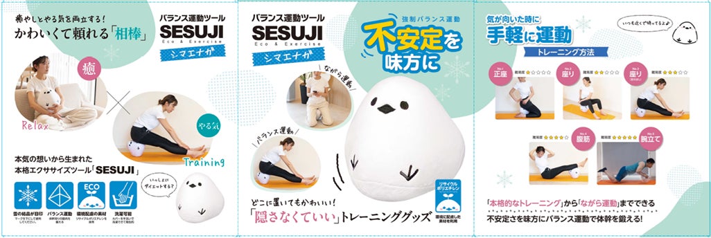 全国展開に向け、体幹トレーニング×インテリアを両立したフィットネスアイテム「SESUJI」取扱店舗の募集を開始